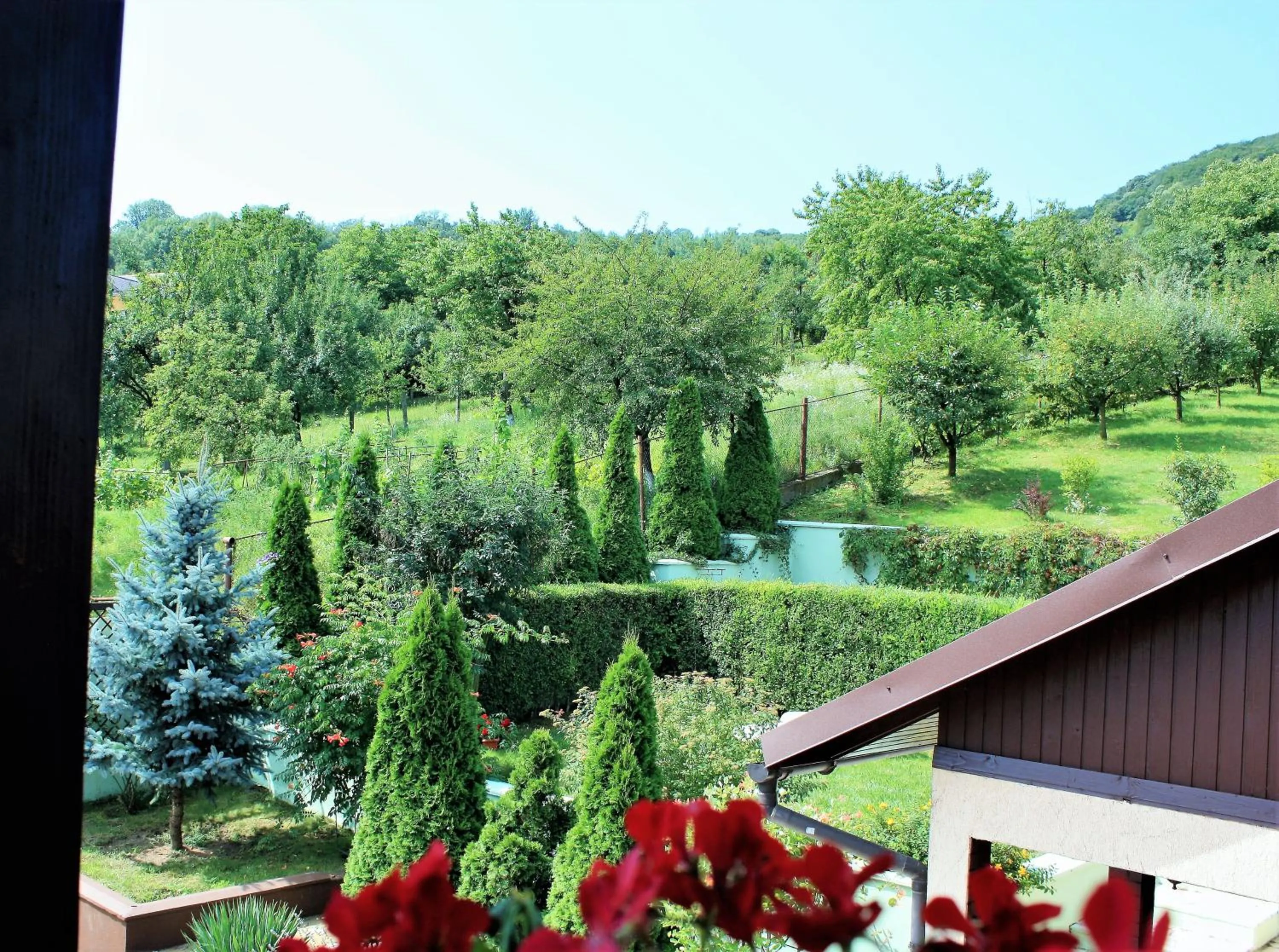 Garden view in Silva House