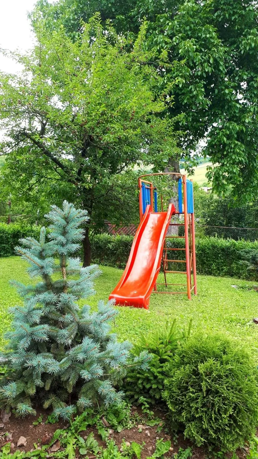 Garden in Silva House