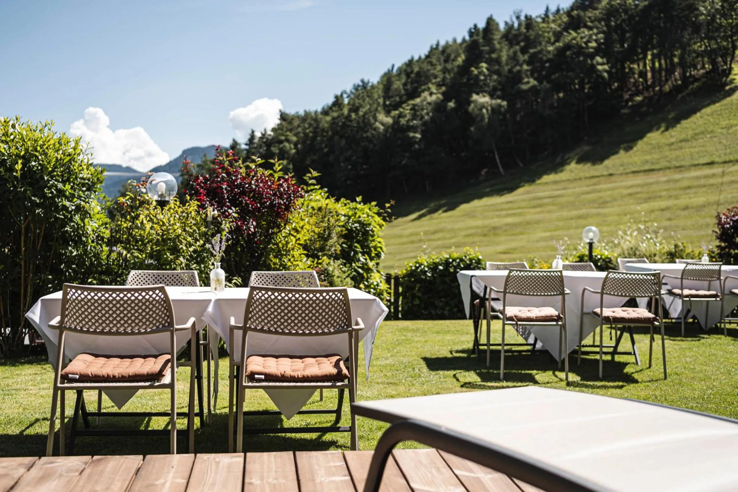 Garden view in Chalet Grumer Suites&Spa