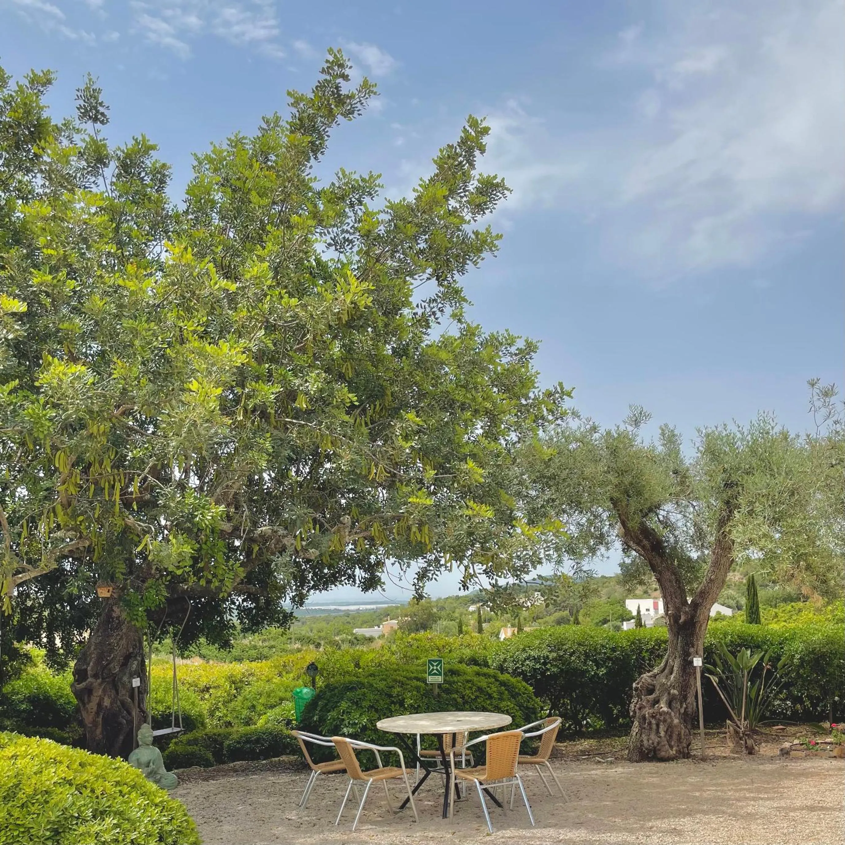 Garden in Hotel Rural Quinta do Marco - Nature & Dining