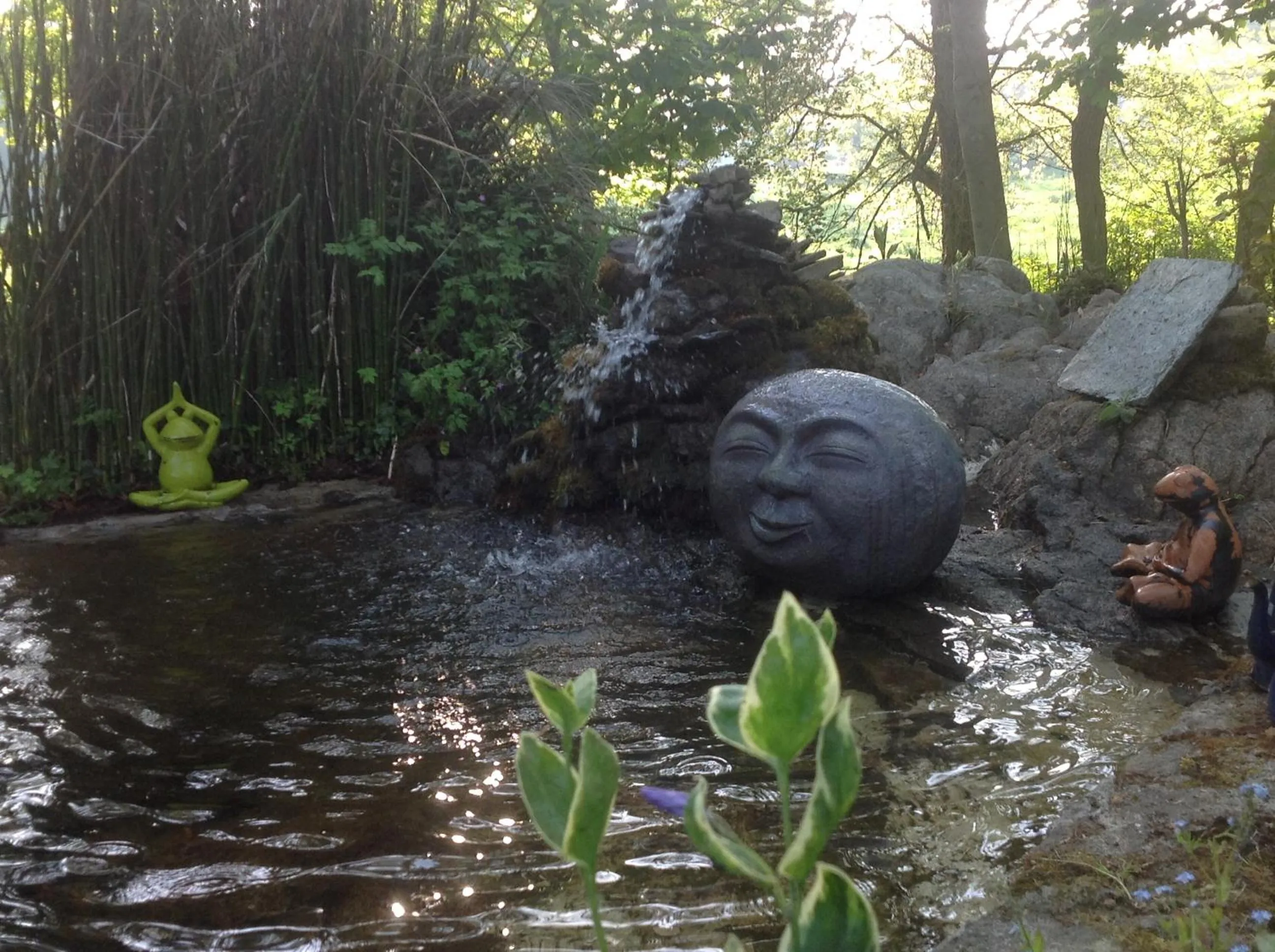 Natural landscape in Au Pont Ricoul