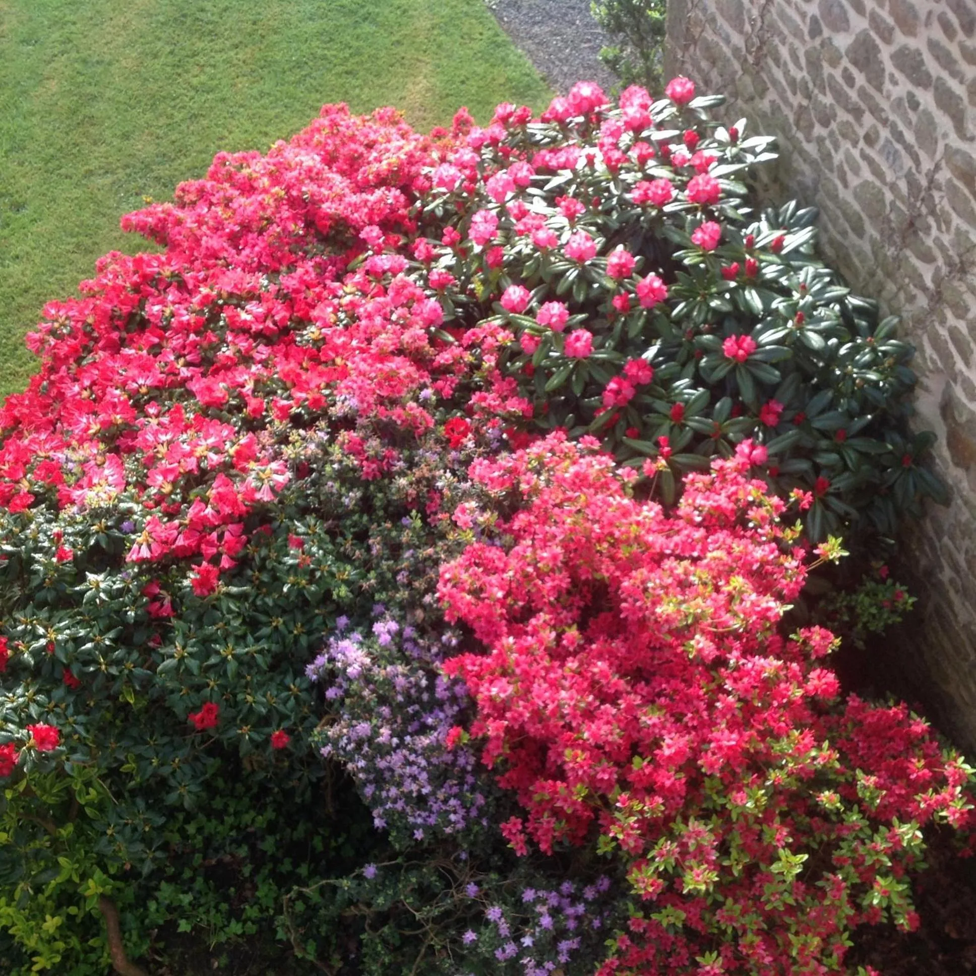 Garden in Au Pont Ricoul