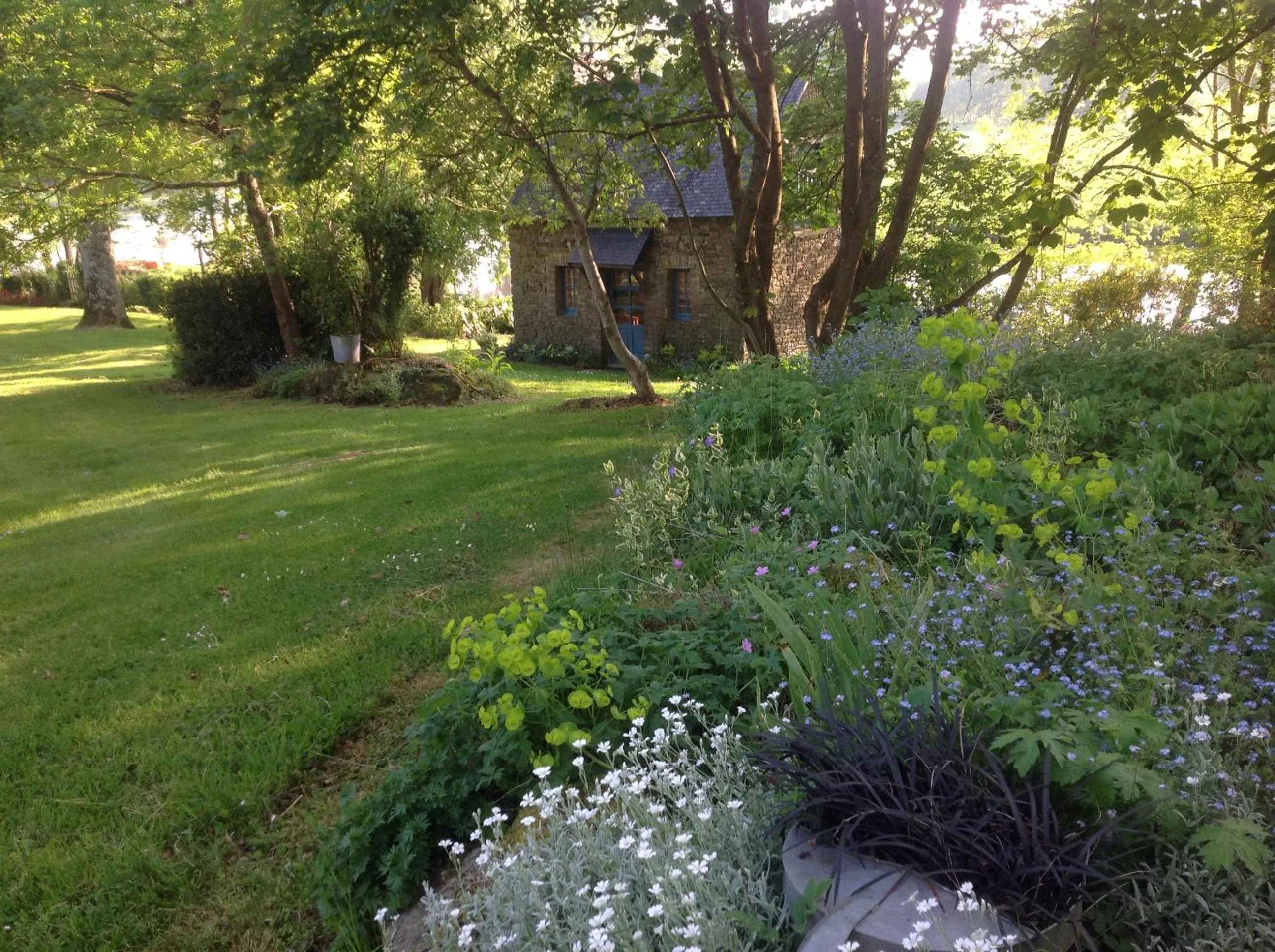 Natural landscape in Au Pont Ricoul