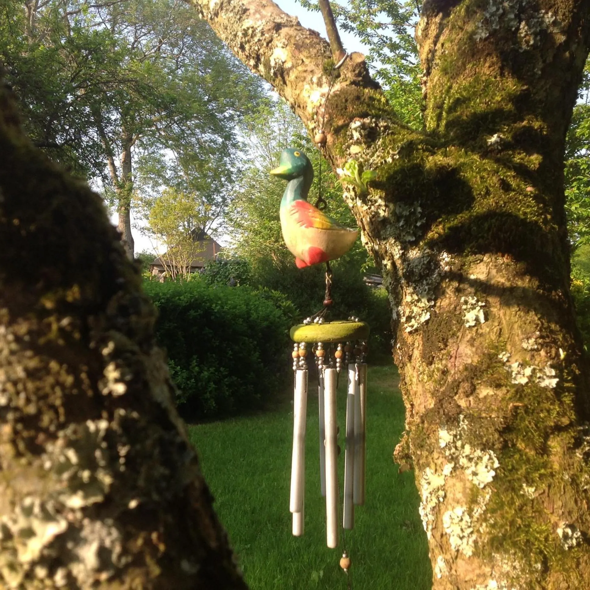 Garden in Au Pont Ricoul