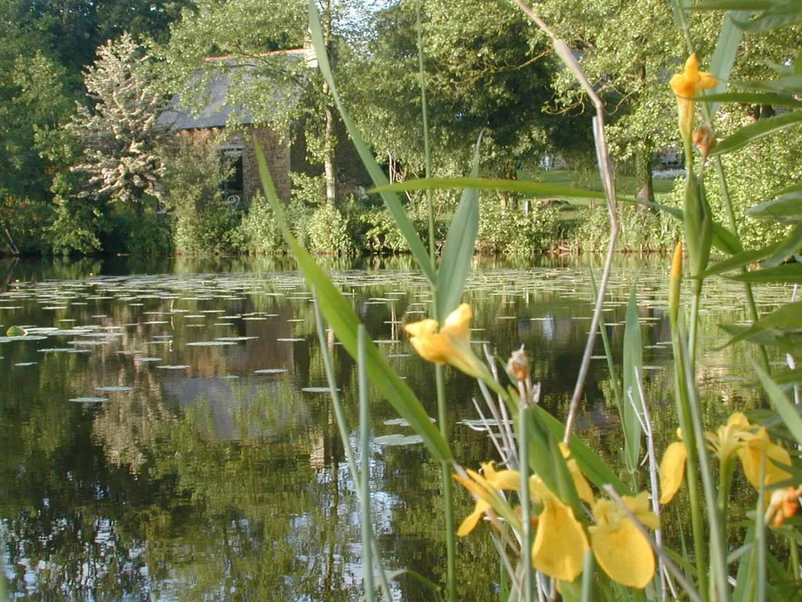 Activities in Au Pont Ricoul
