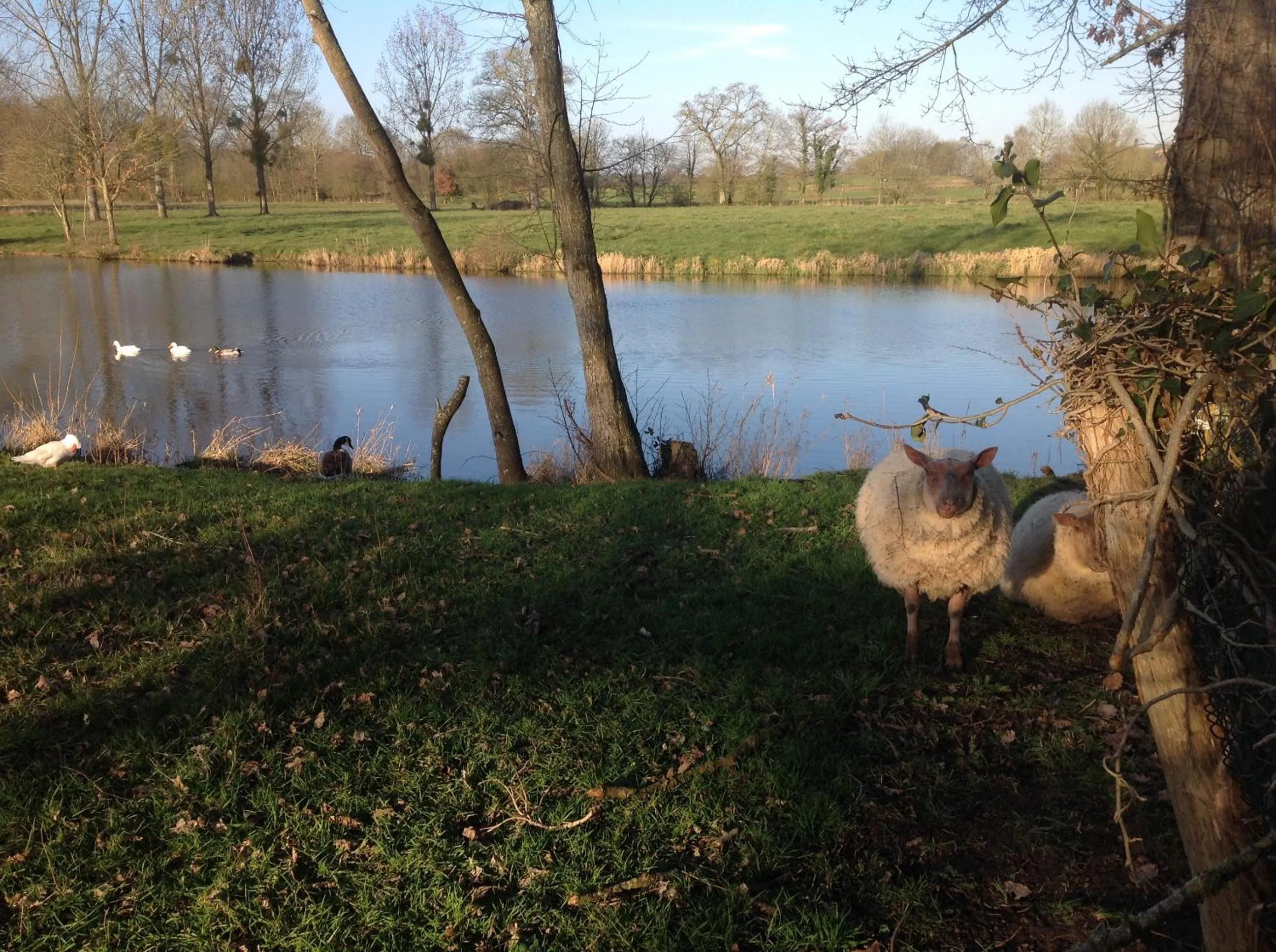 Garden in Au Pont Ricoul