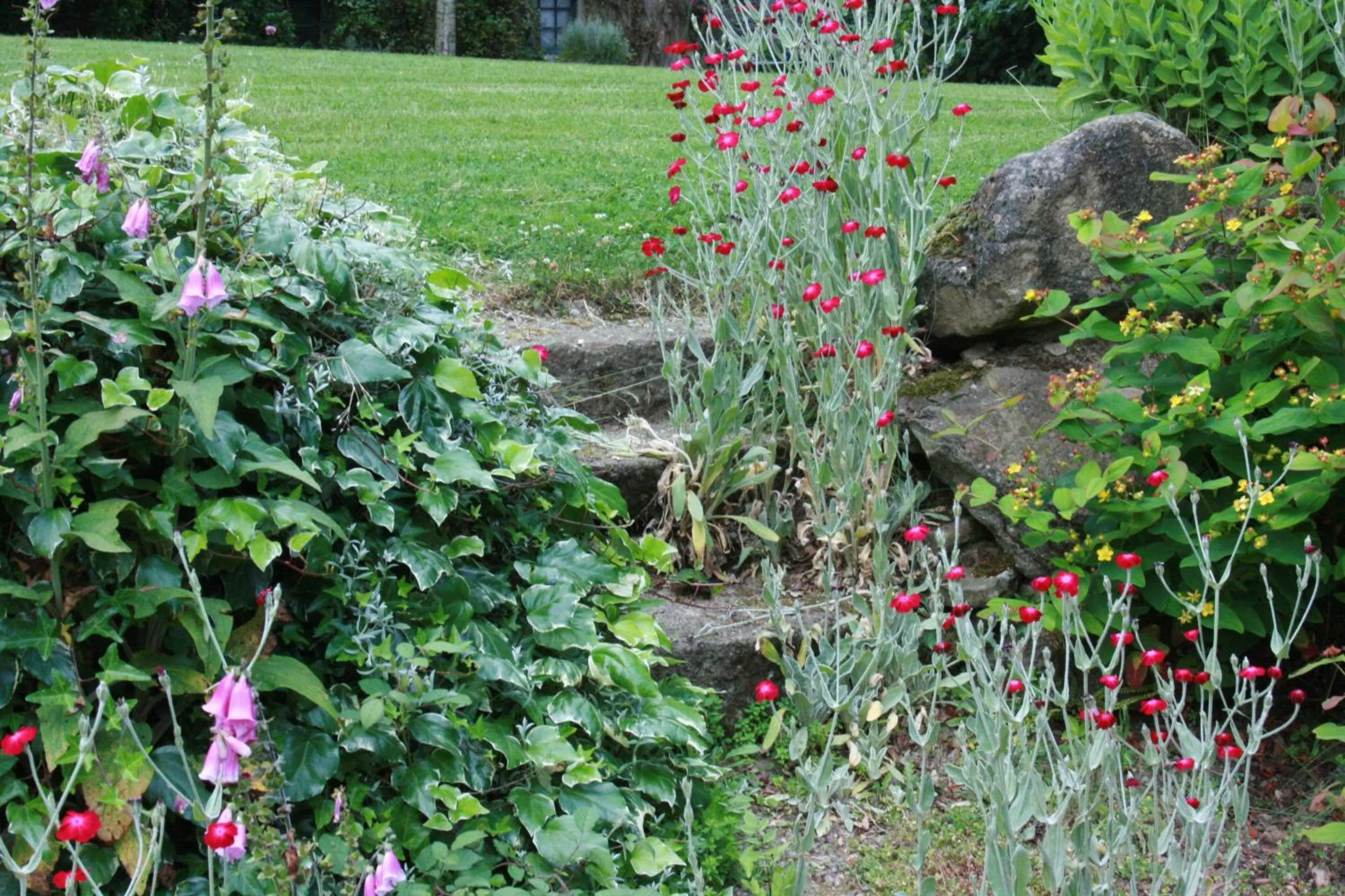 Natural landscape in Au Pont Ricoul