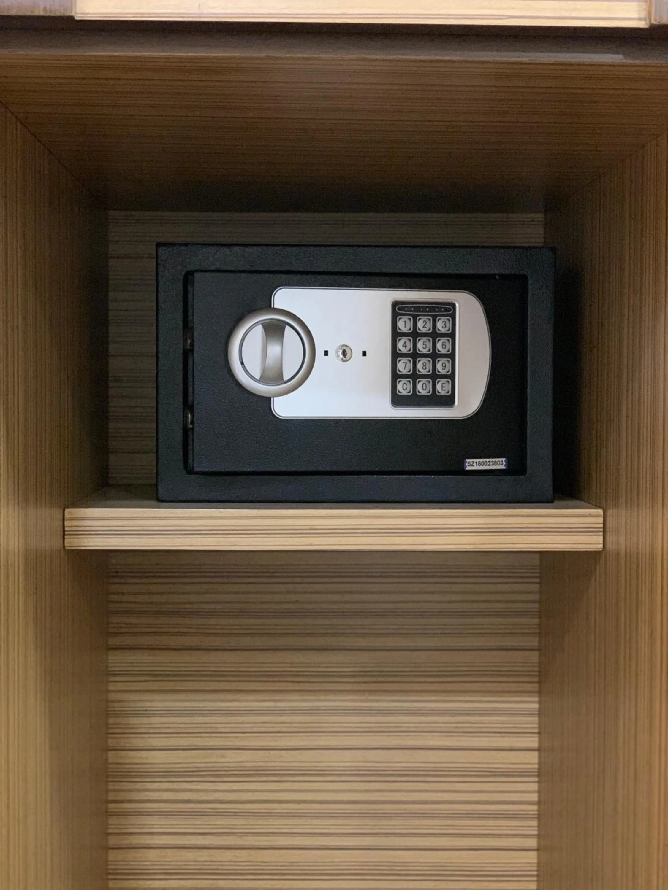 microwave in Dolphin Ras El-Bar Hotel