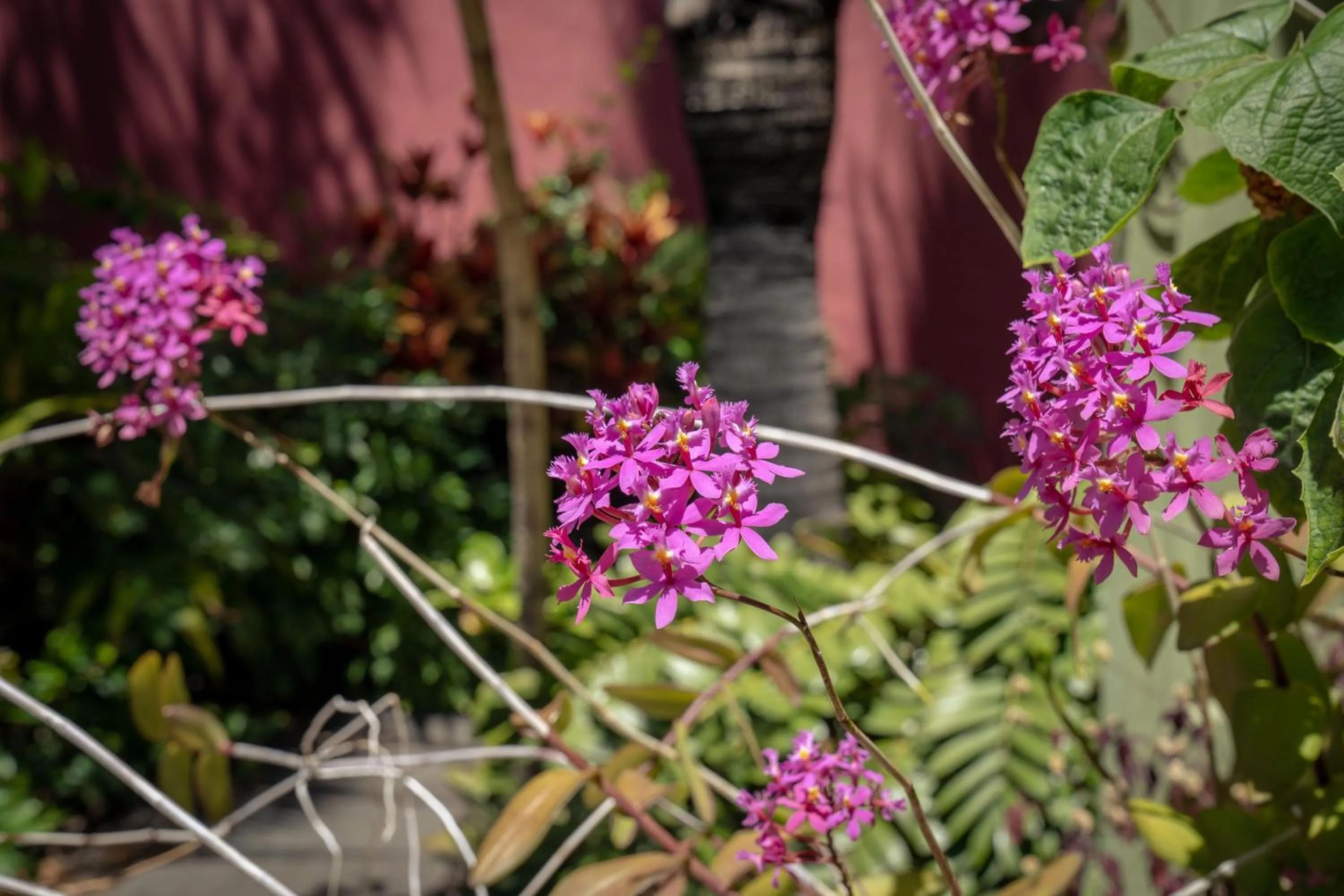 Hotel Hacienda de Abajo-Adults Only-Lujo