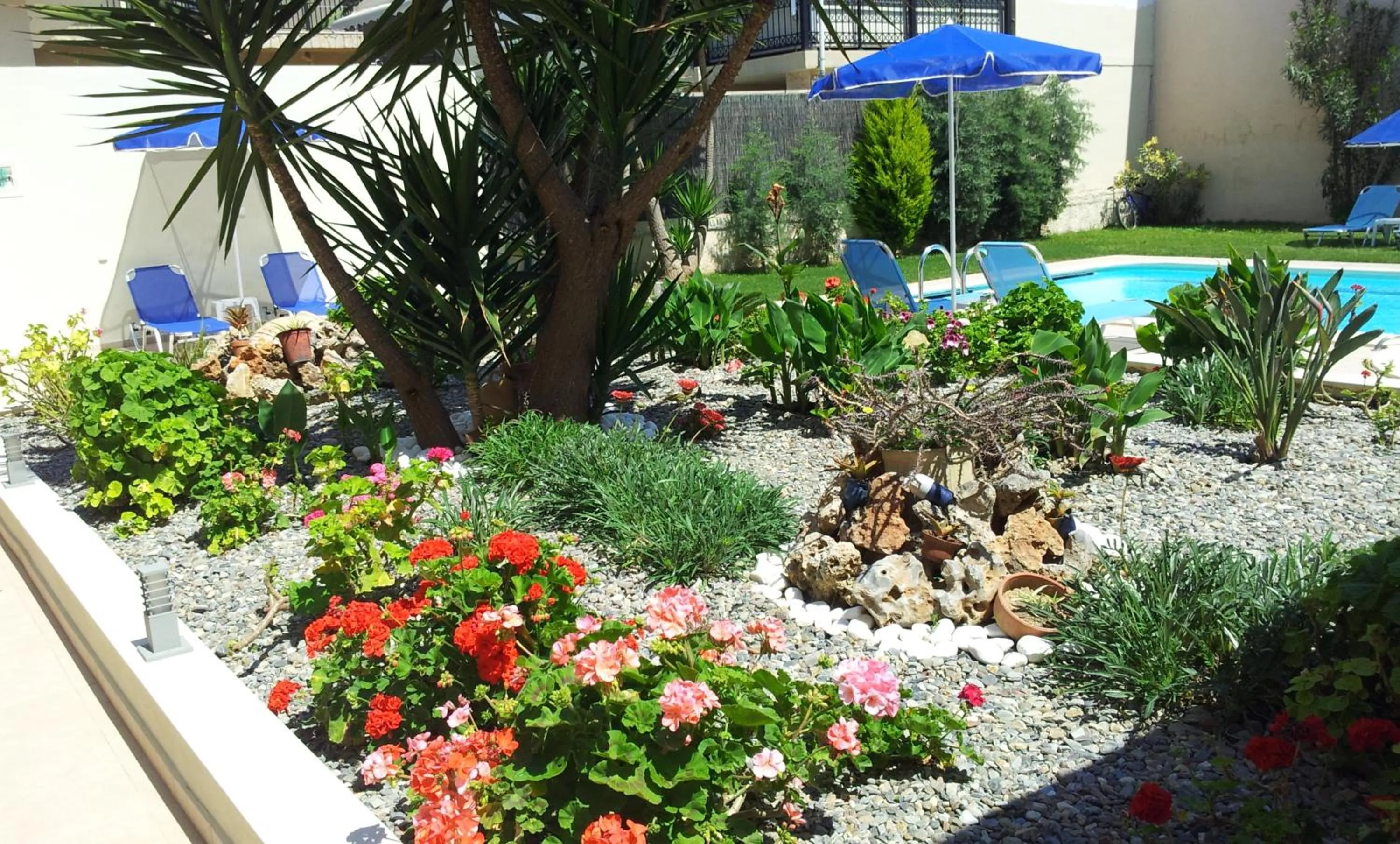 Garden in Nicolas Studios & Apartments