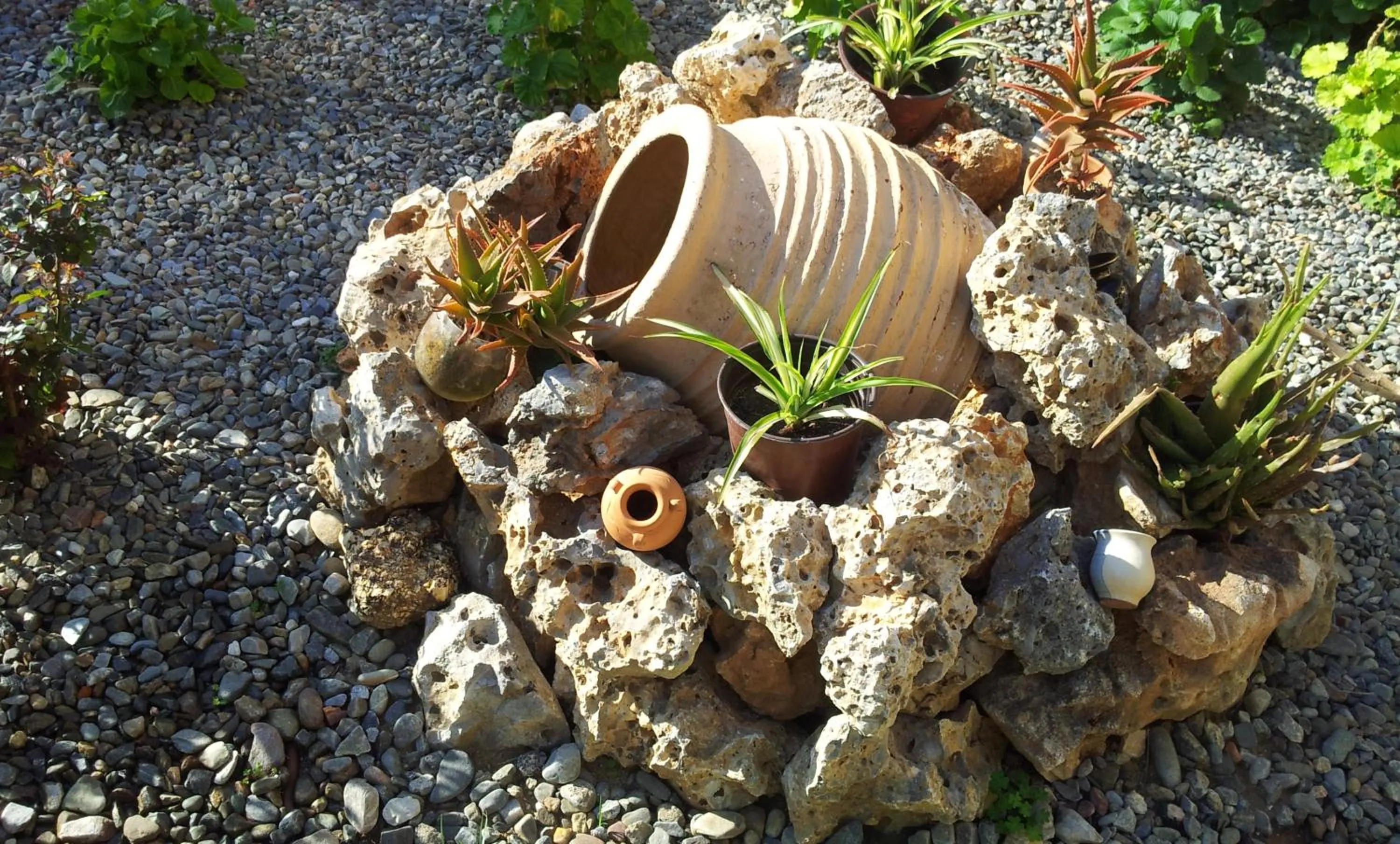 Garden in Nicolas Studios & Apartments