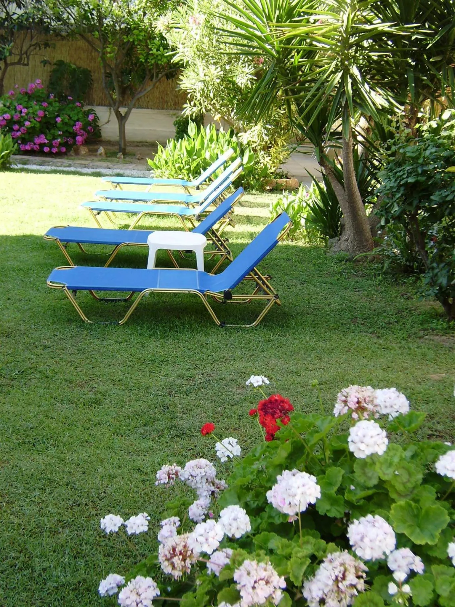 Garden in Nicolas Studios & Apartments