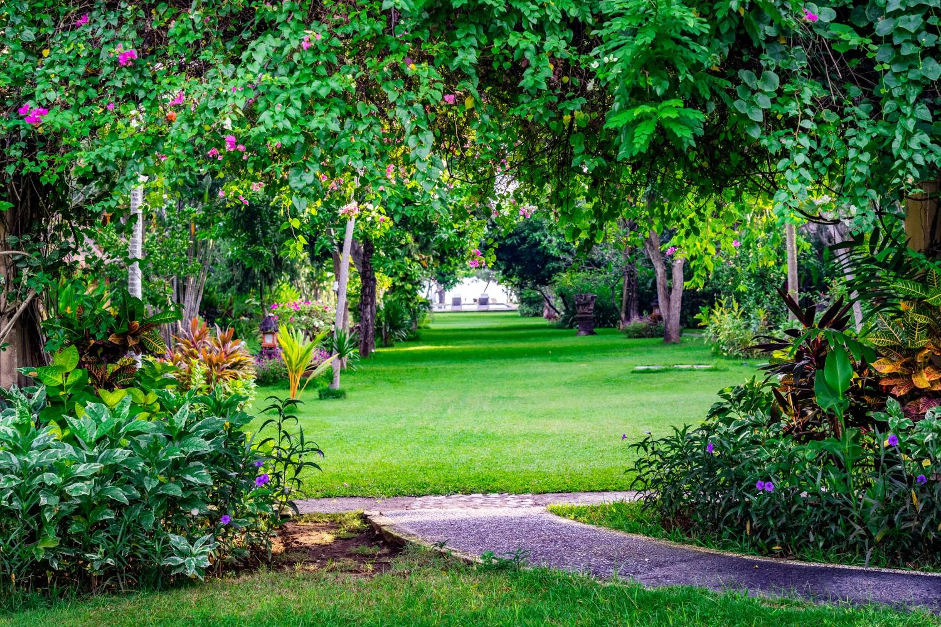 Garden in Taman Selini Wahana Beach Resort