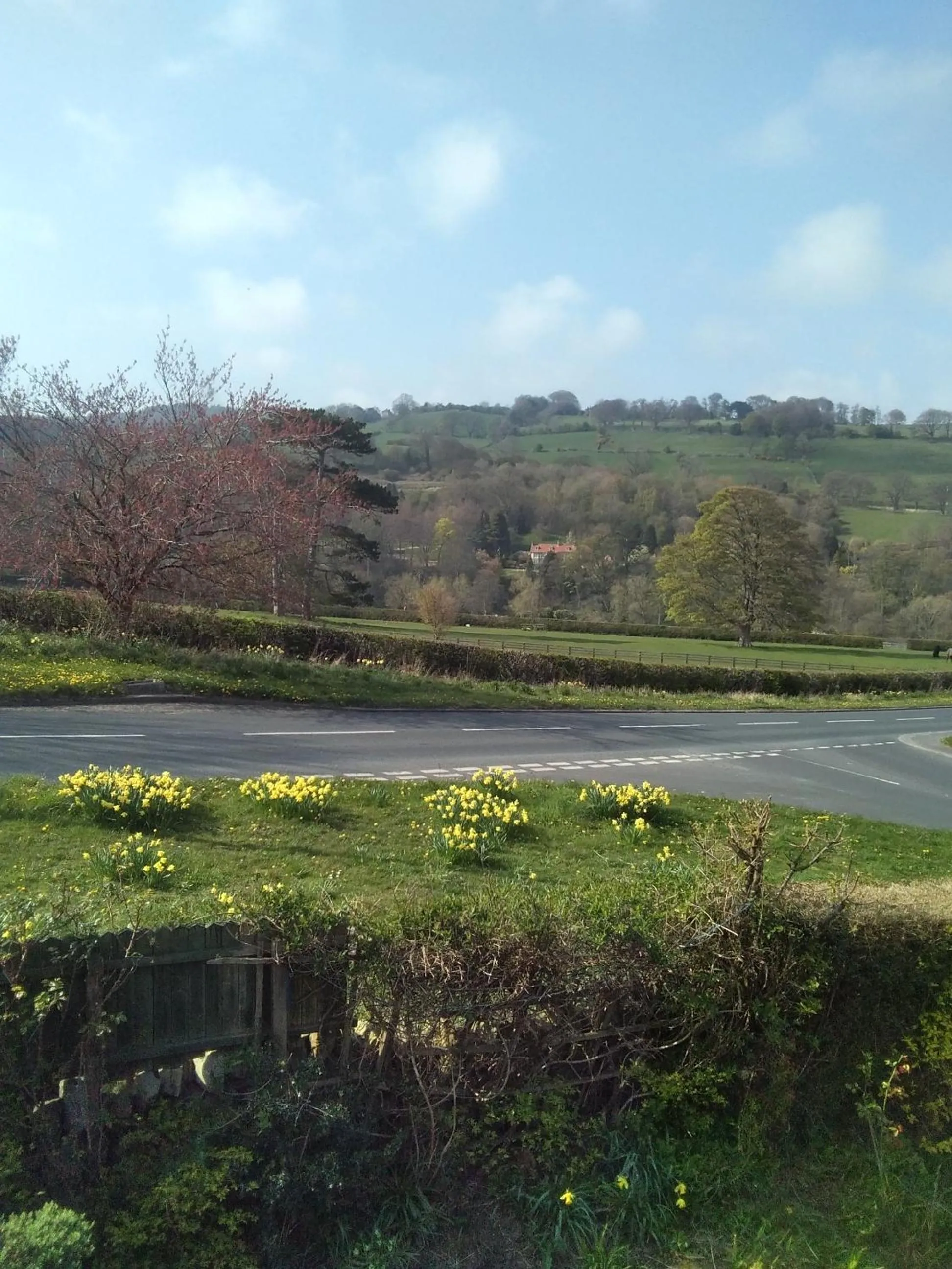Natural landscape in Beechlands B & B