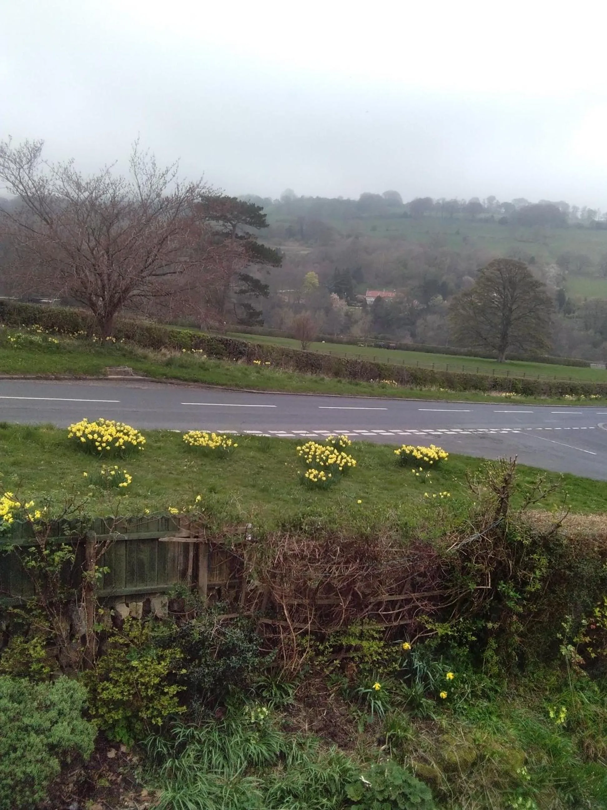 Natural landscape in Beechlands B & B