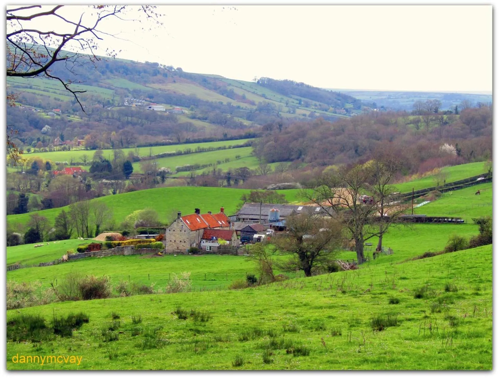 Neighbourhood in Beechlands B & B