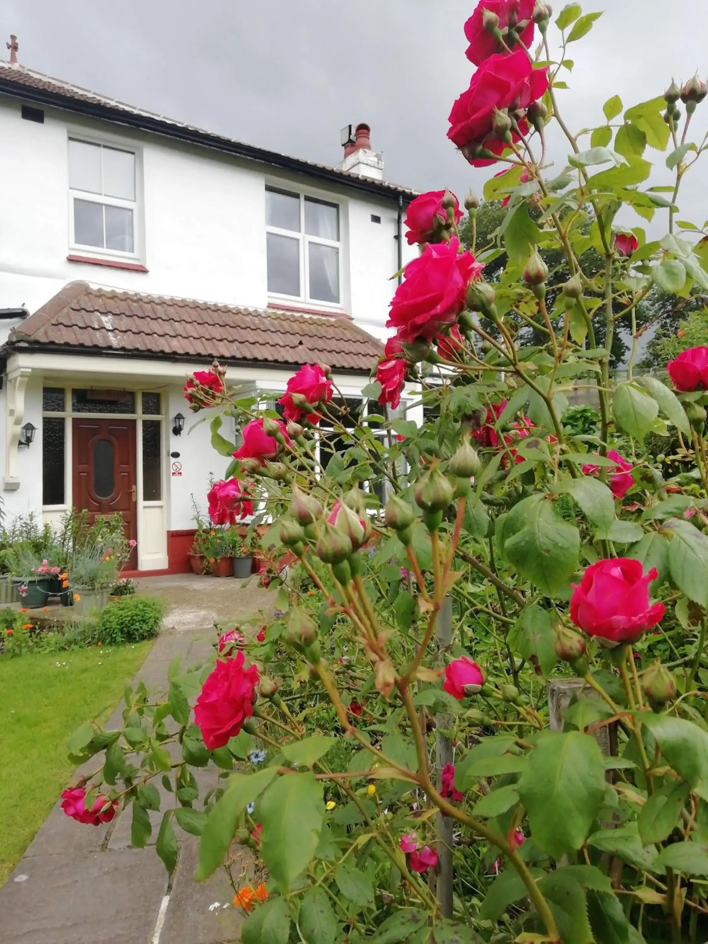 Beechlands B & B Beechlands B & B