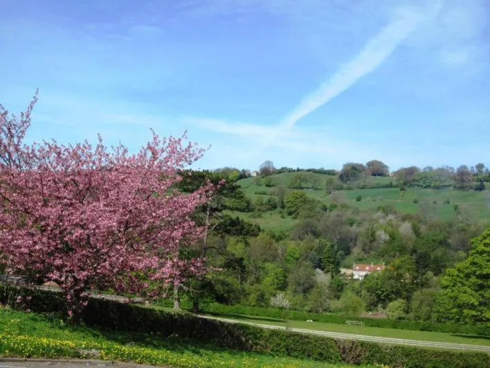 Other in Beechlands B & B