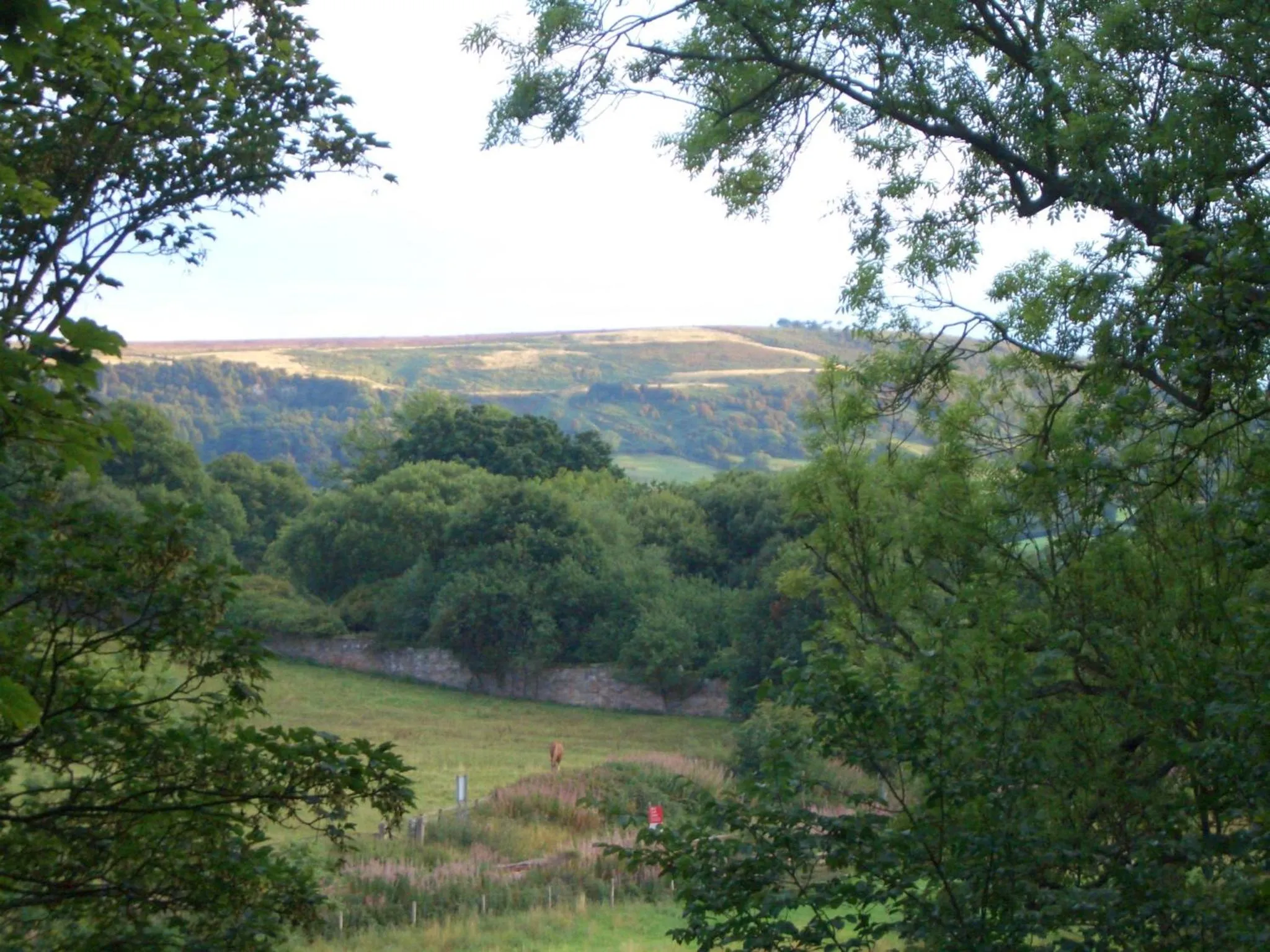 Natural landscape in Beechlands B & B