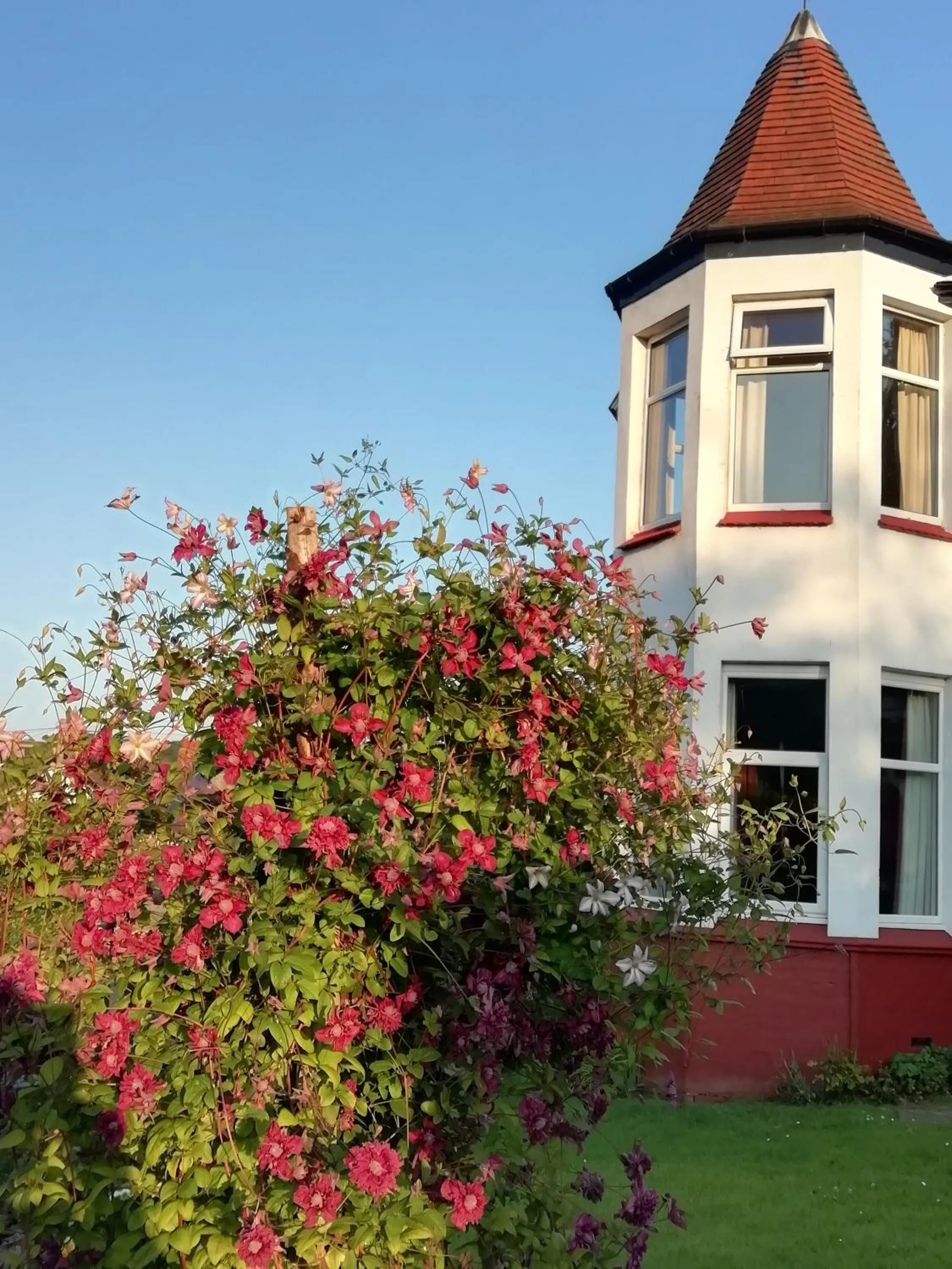Property building in Beechlands B & B