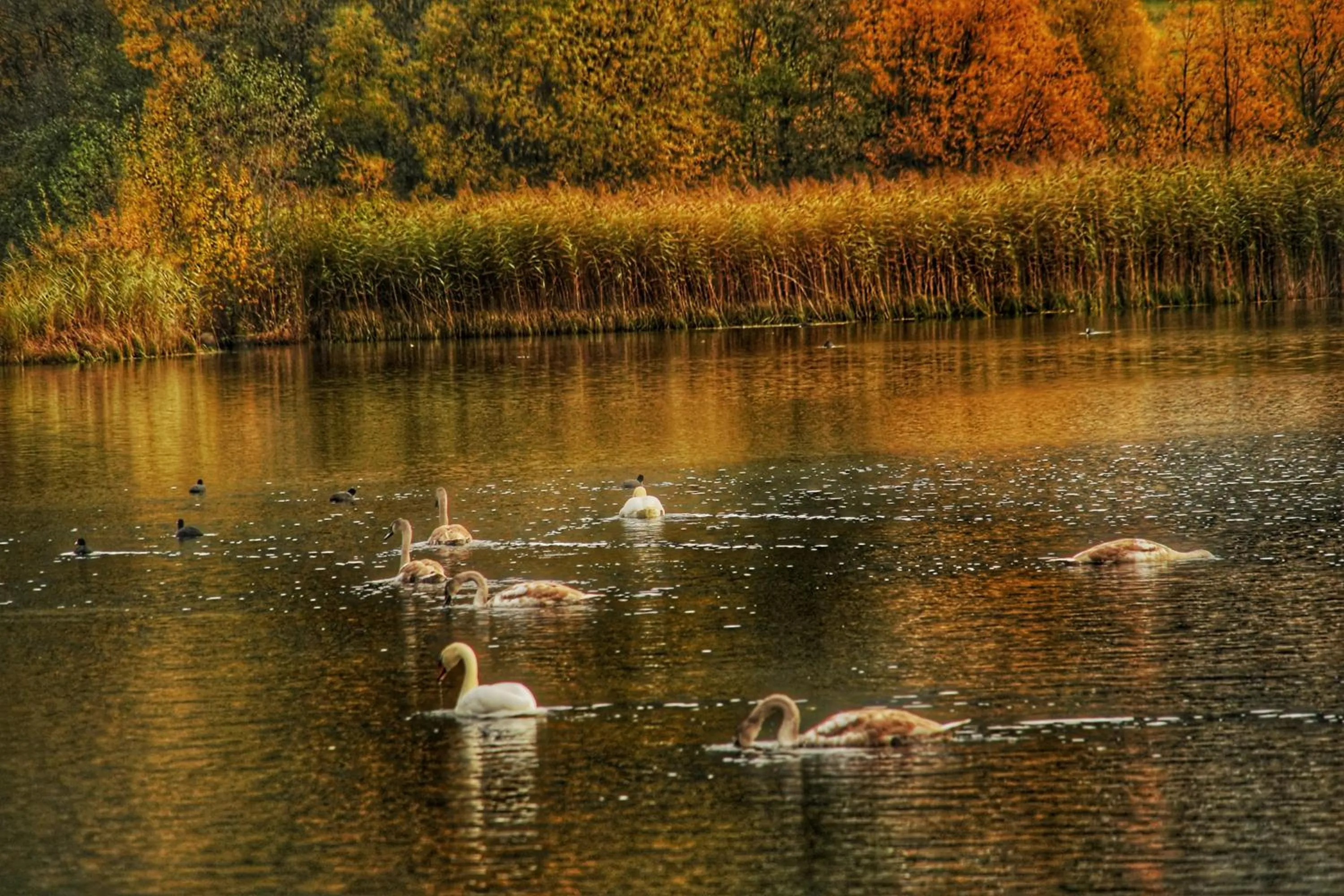 Seasons in Hotel Alpenrose