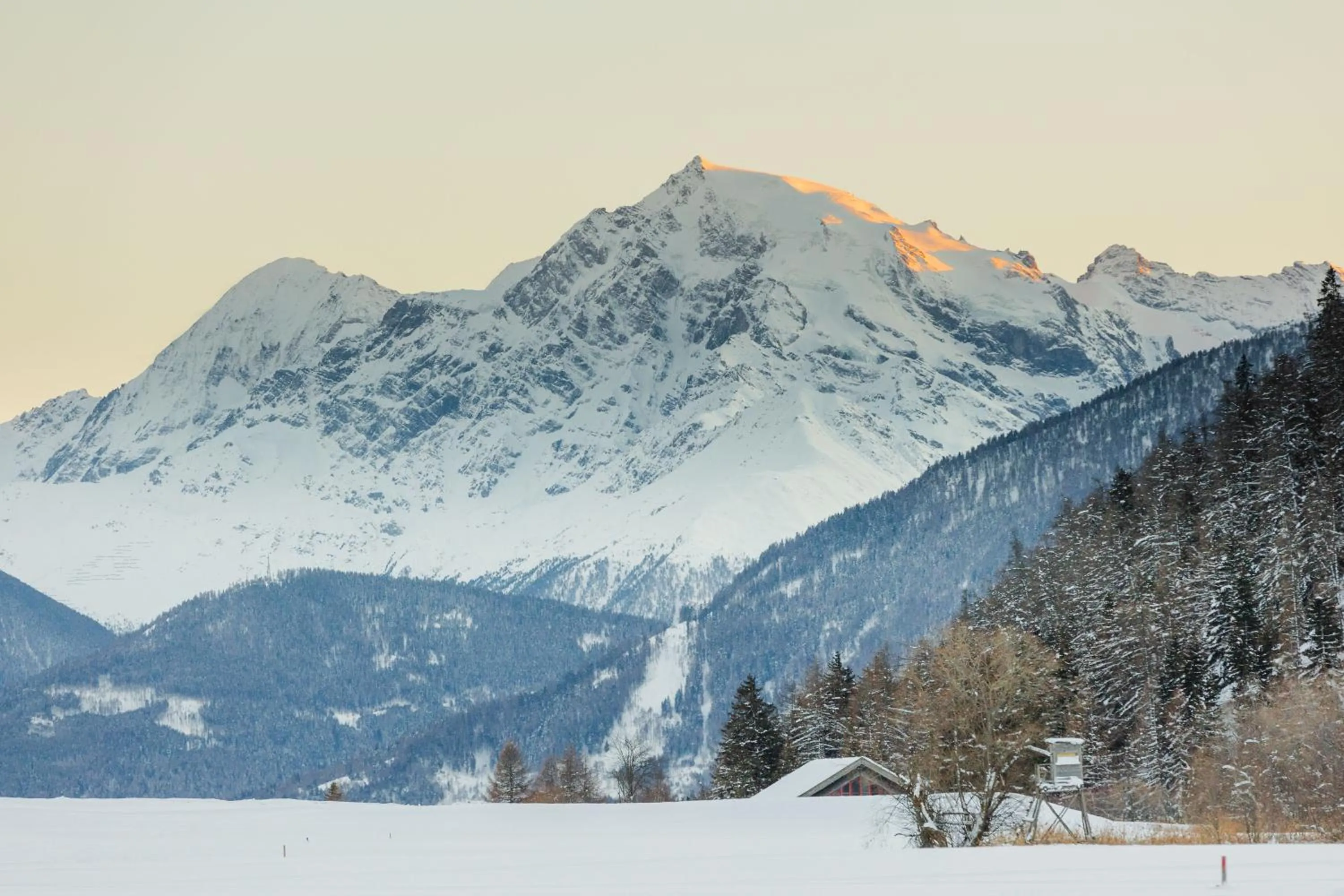 Area and facilities in Hotel Alpenrose