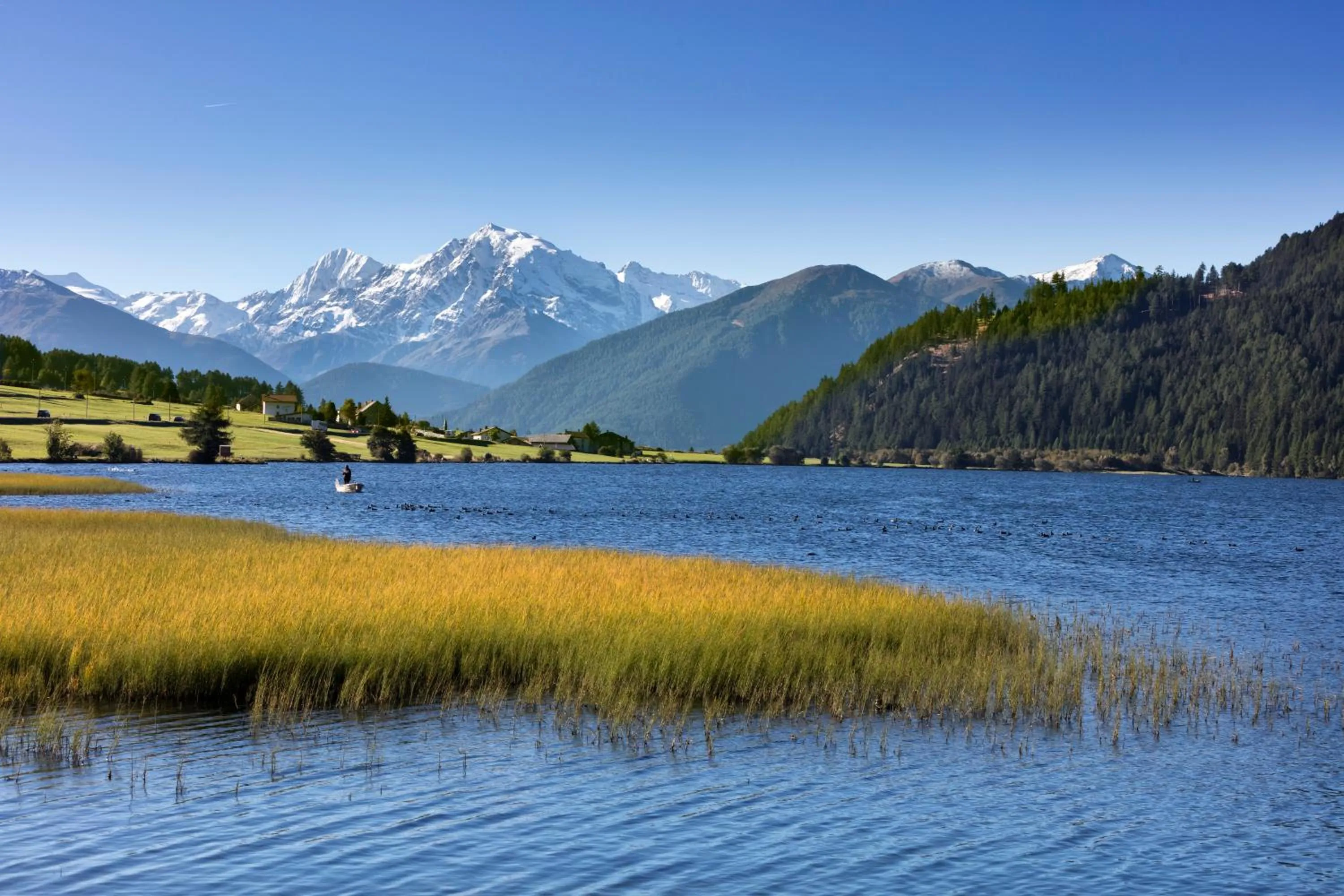 Lake view in Hotel Alpenrose