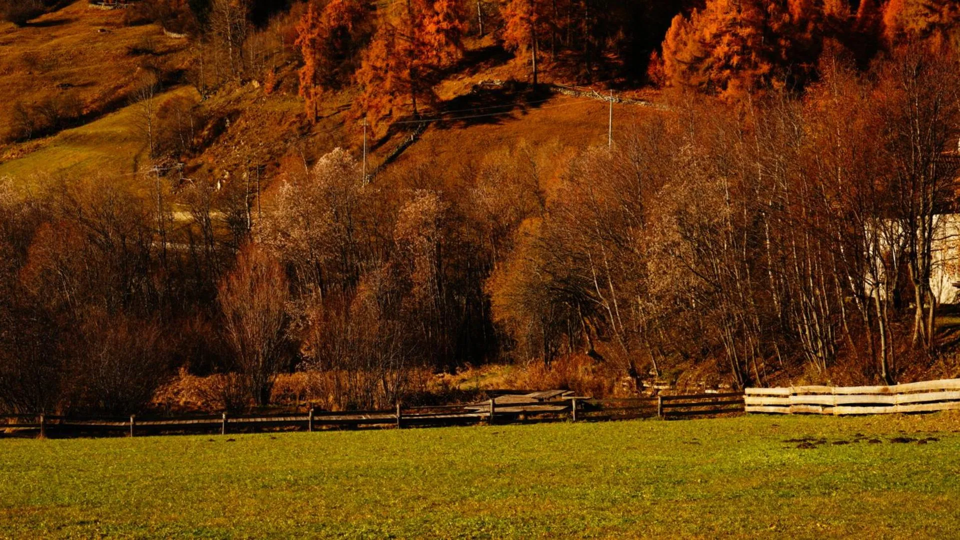 Seasons in Hotel Alpenrose