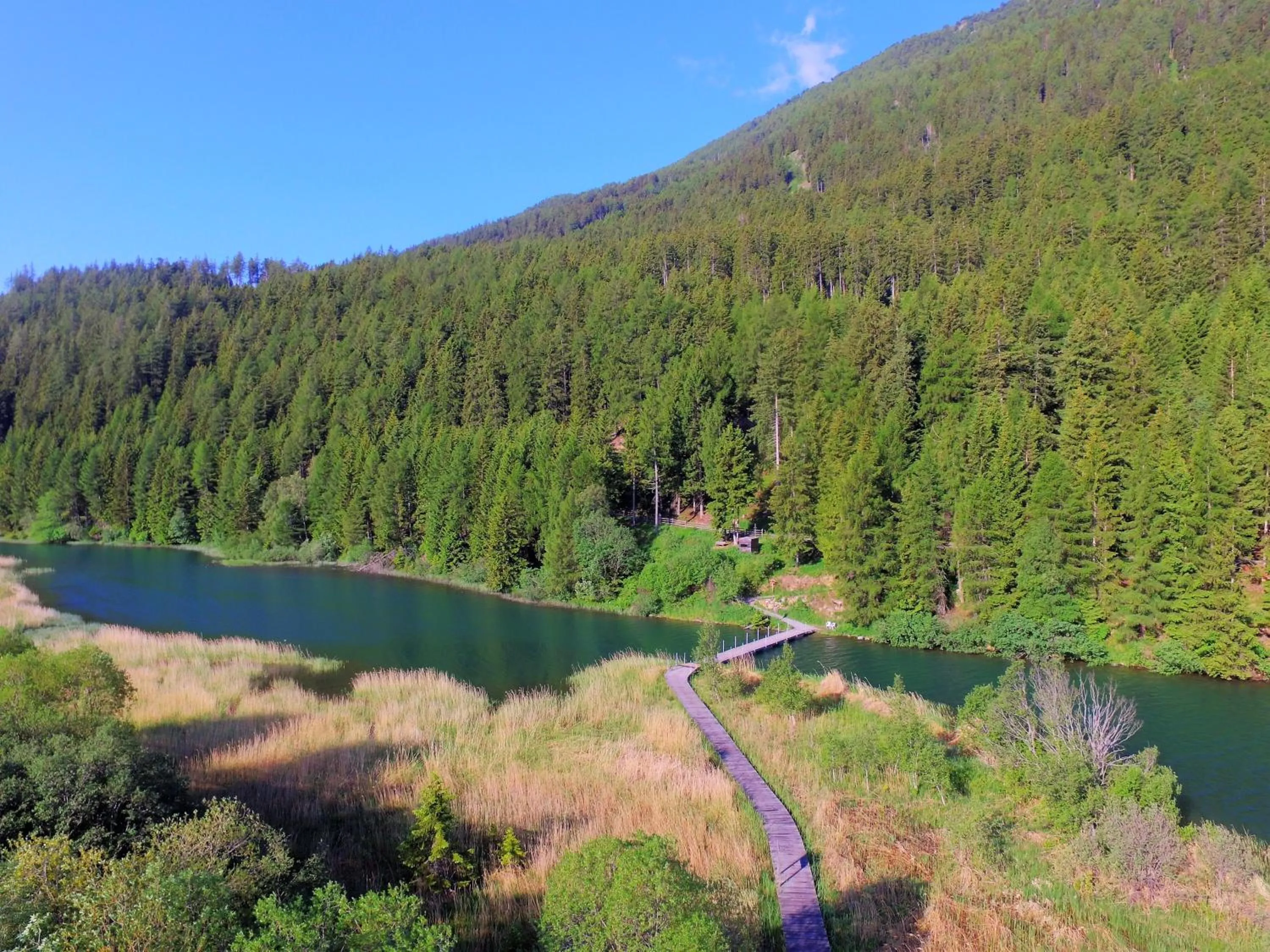 Natural landscape in Hotel Alpenrose