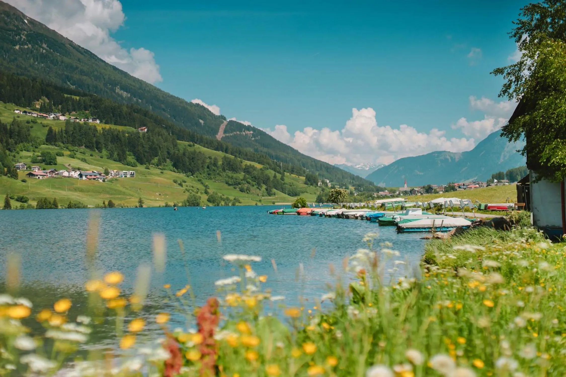 Natural landscape in Hotel Alpenrose