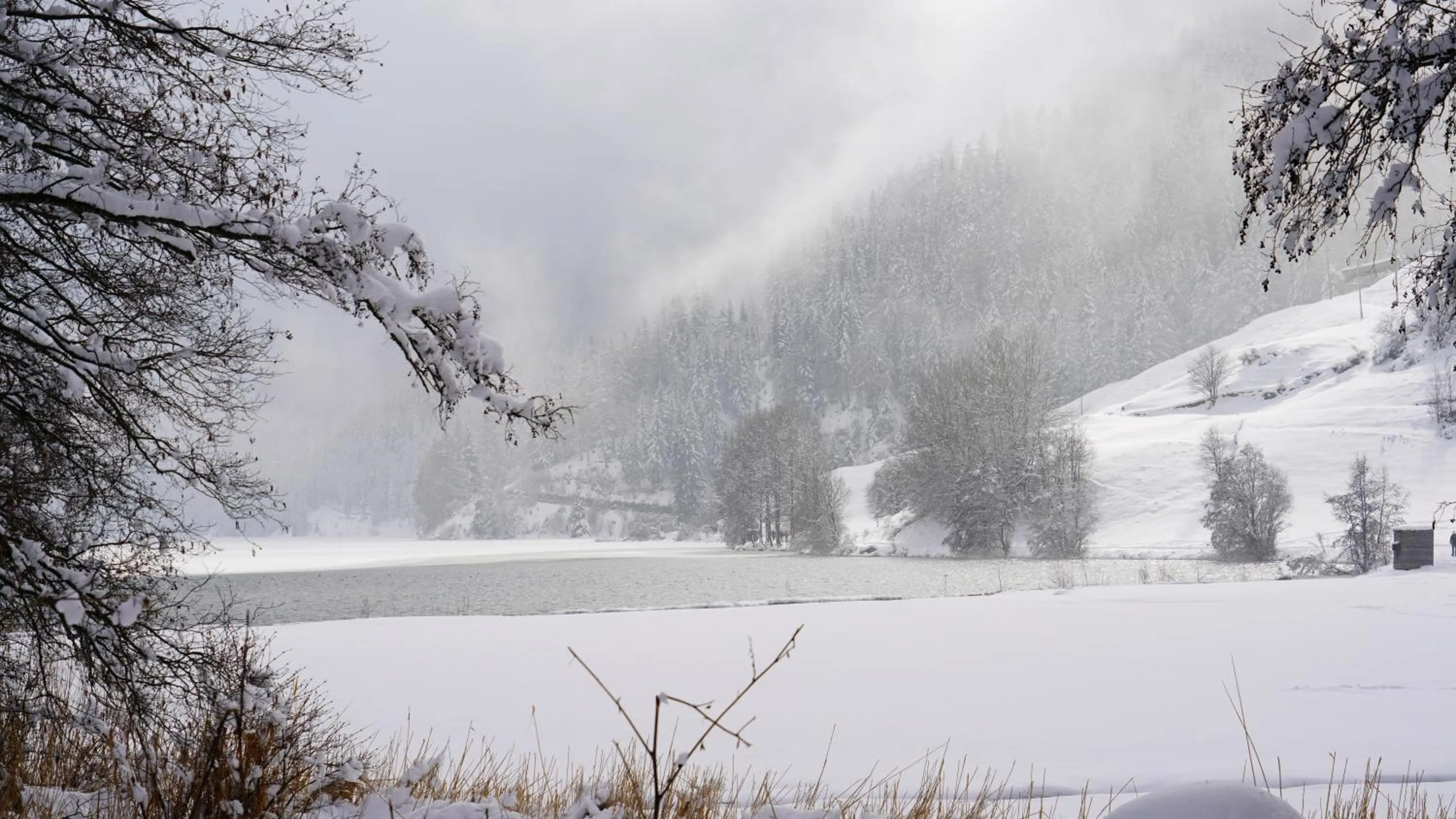 Seasons in Hotel Alpenrose