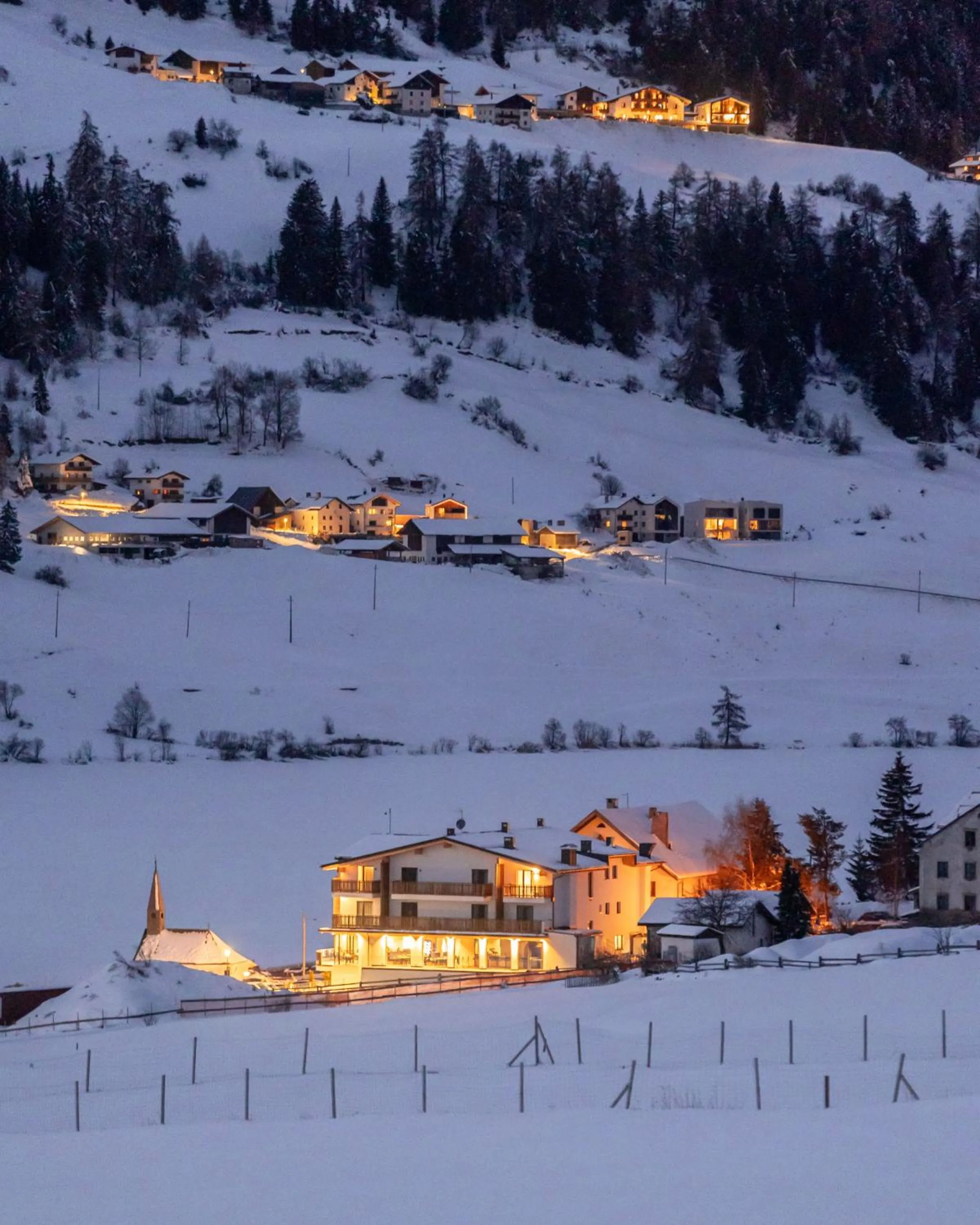Area and facilities in Hotel Alpenrose