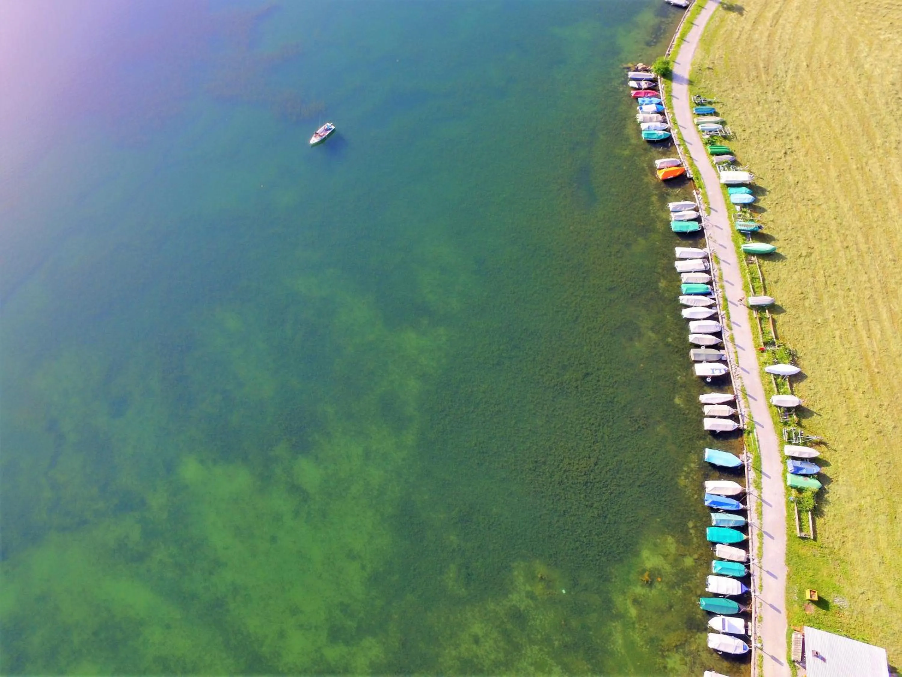 Summer in Hotel Alpenrose