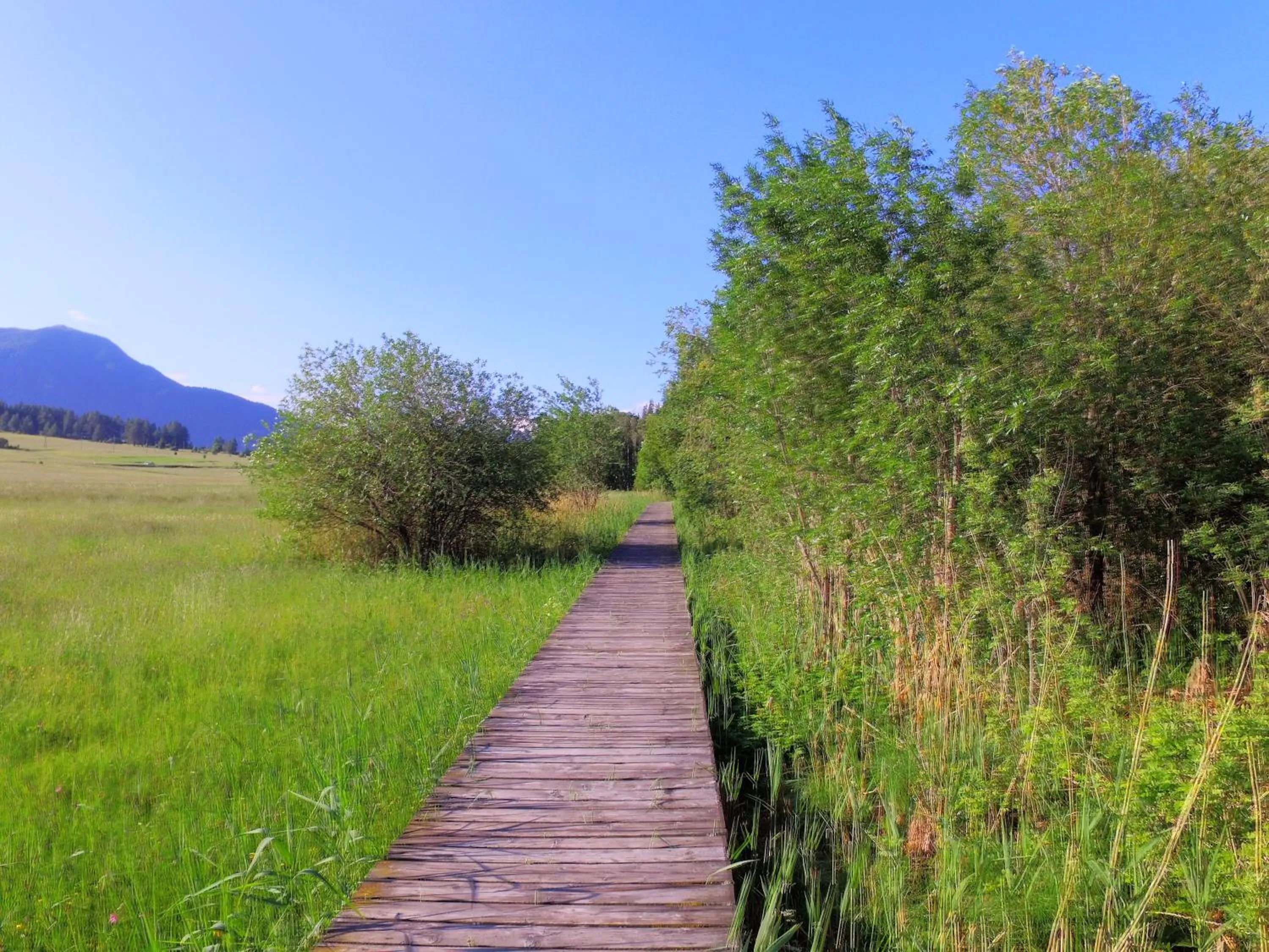 Spring in Hotel Alpenrose