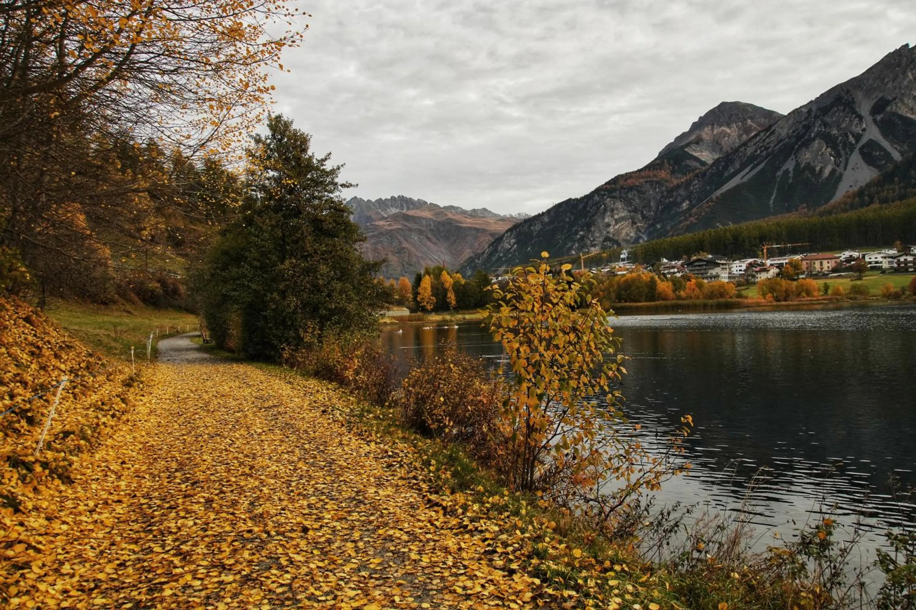Seasons in Hotel Alpenrose