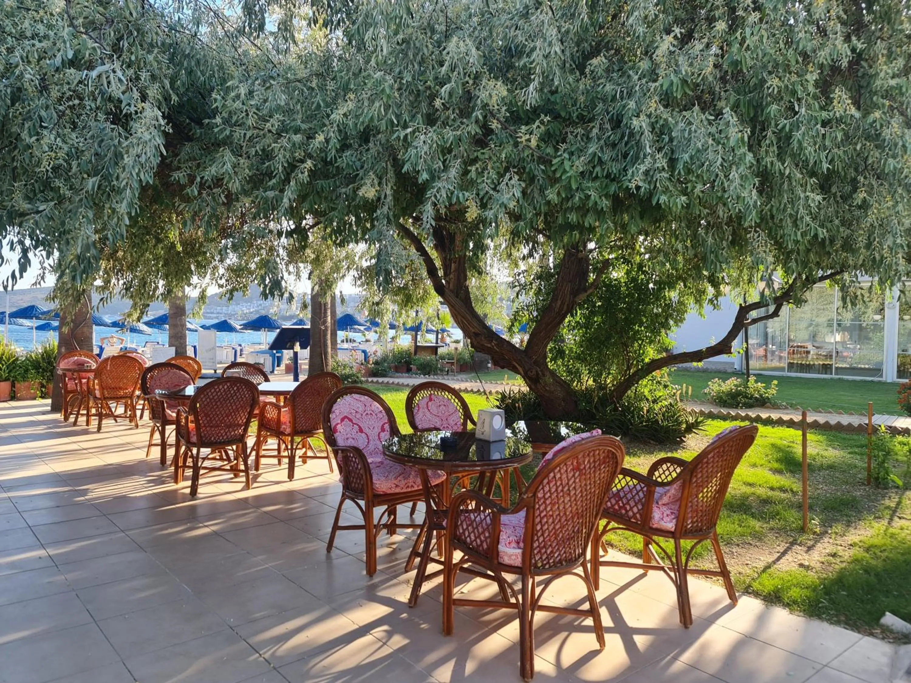 Garden in Nagi Beach Hotel