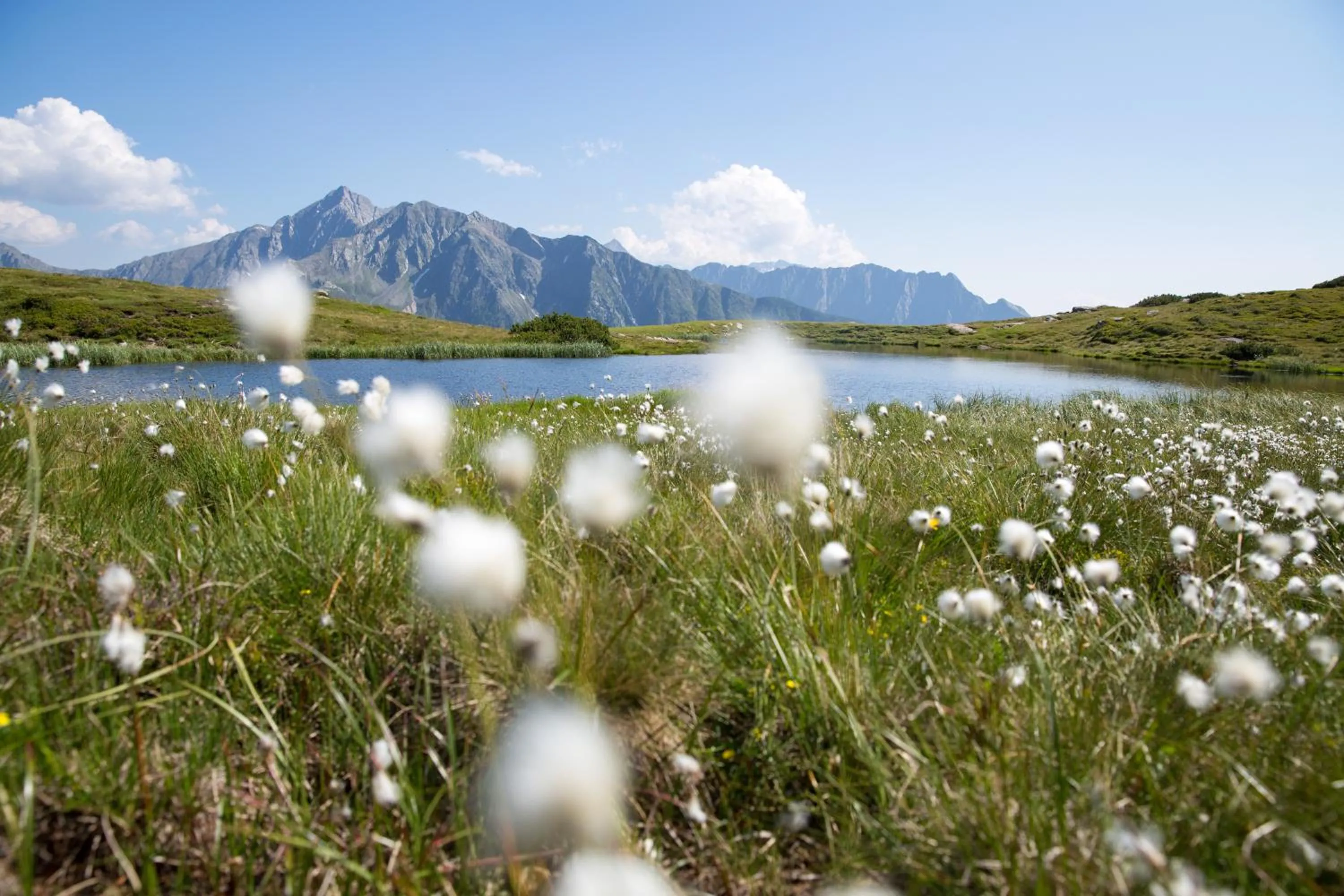 Natural landscape in Tirolerhof