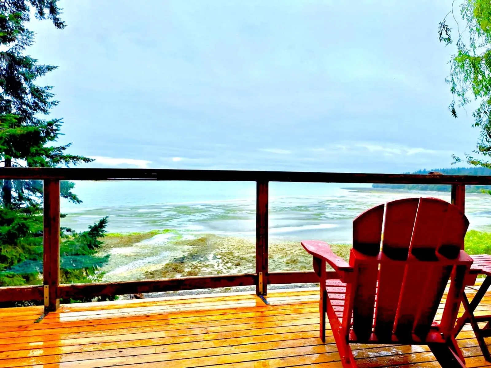 Natural landscape in The Beach House Texada - Oceanfront Cabin