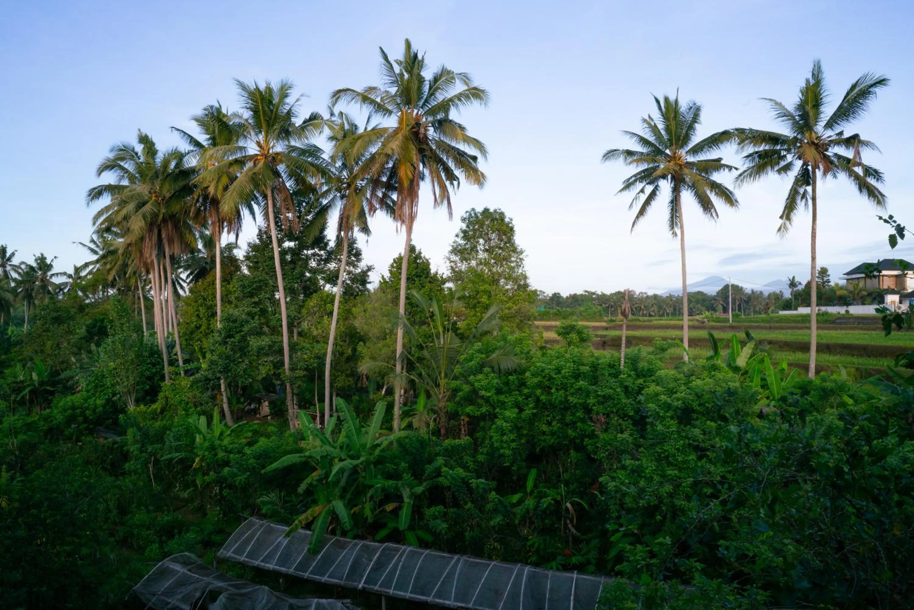 Natural landscape in Karang Lila Bhuana Ubud