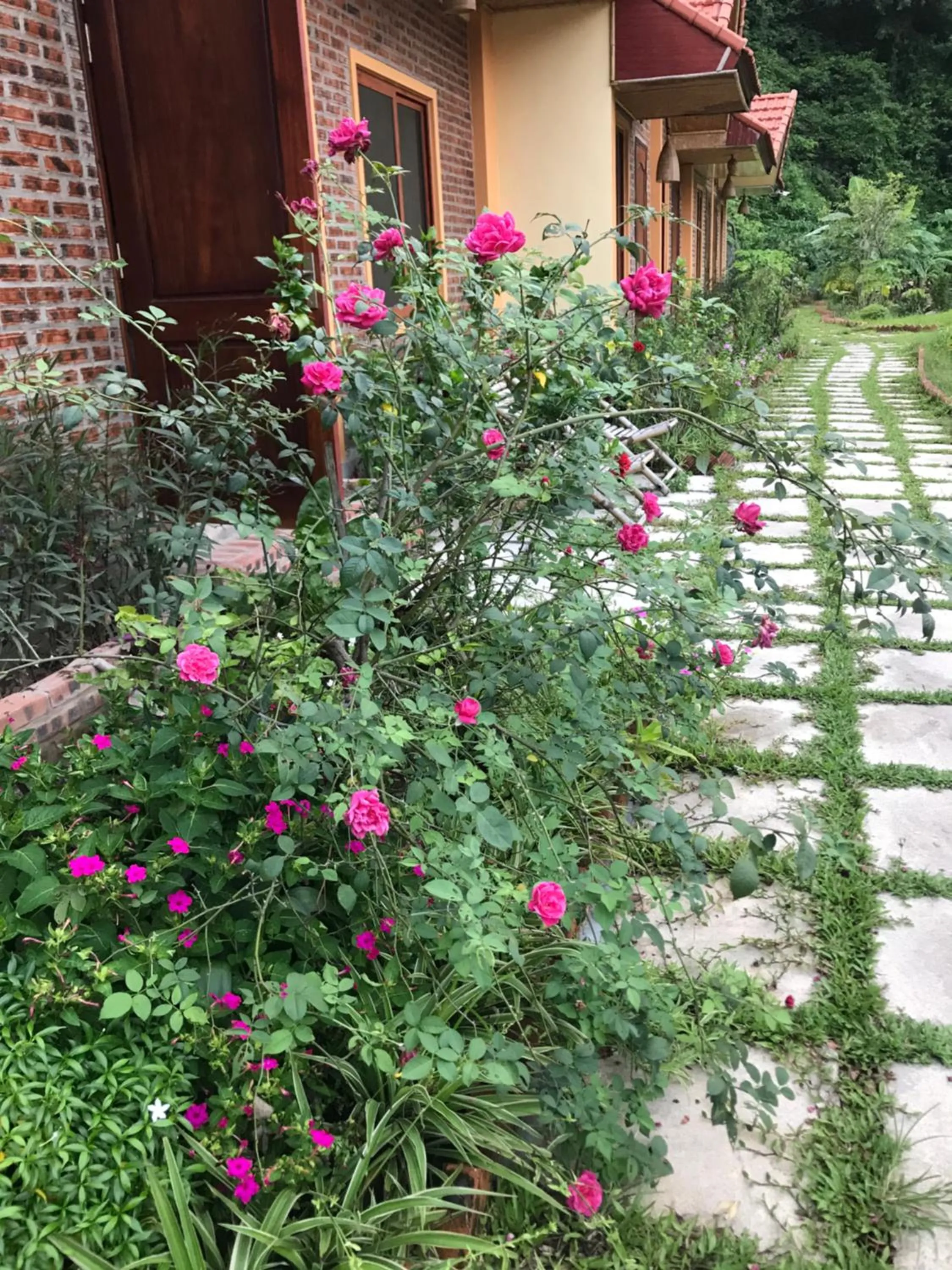 Patio in Moc An Village Tam Coc - Ninh Binh