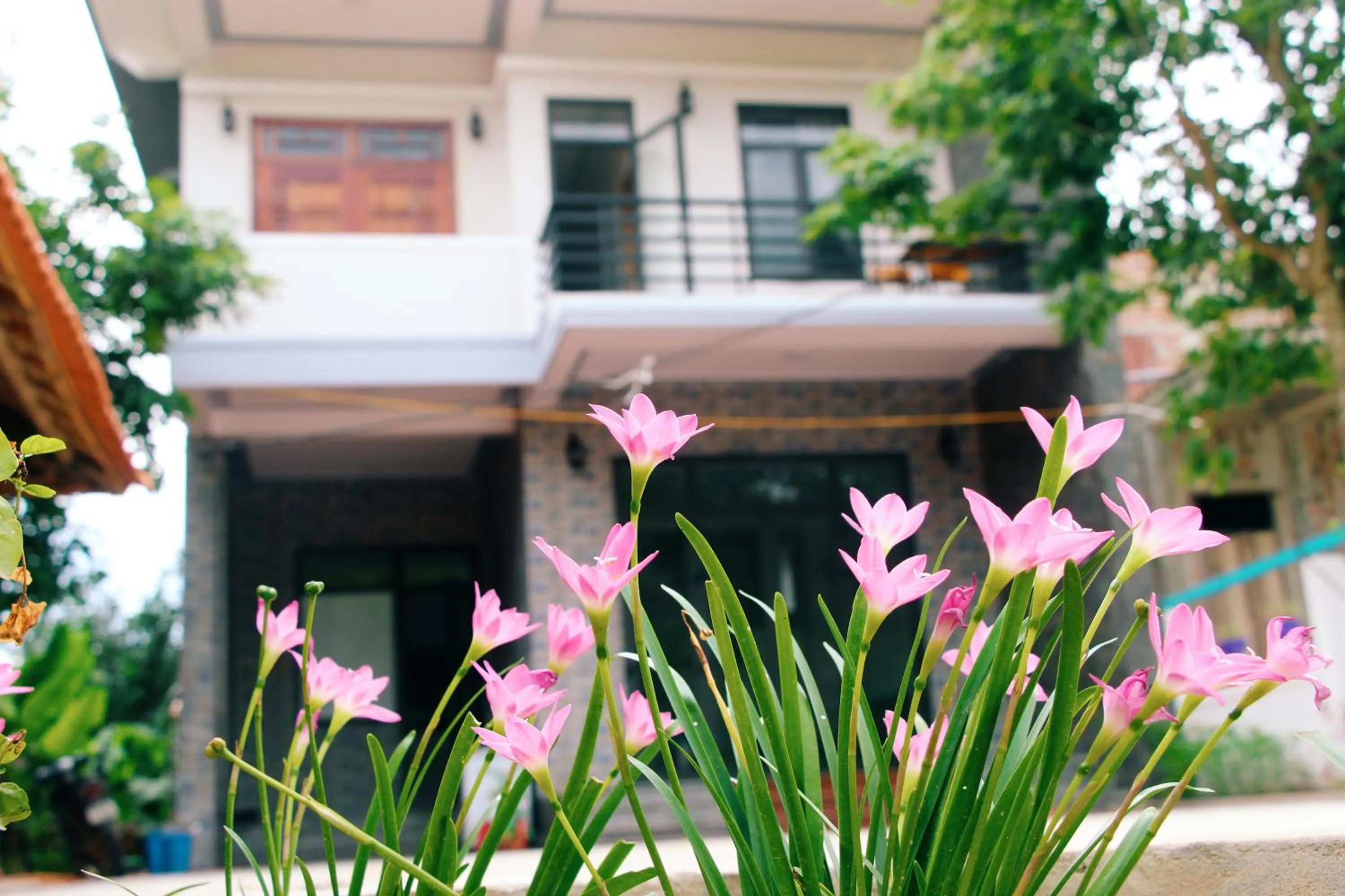 Garden in Loren Homestay