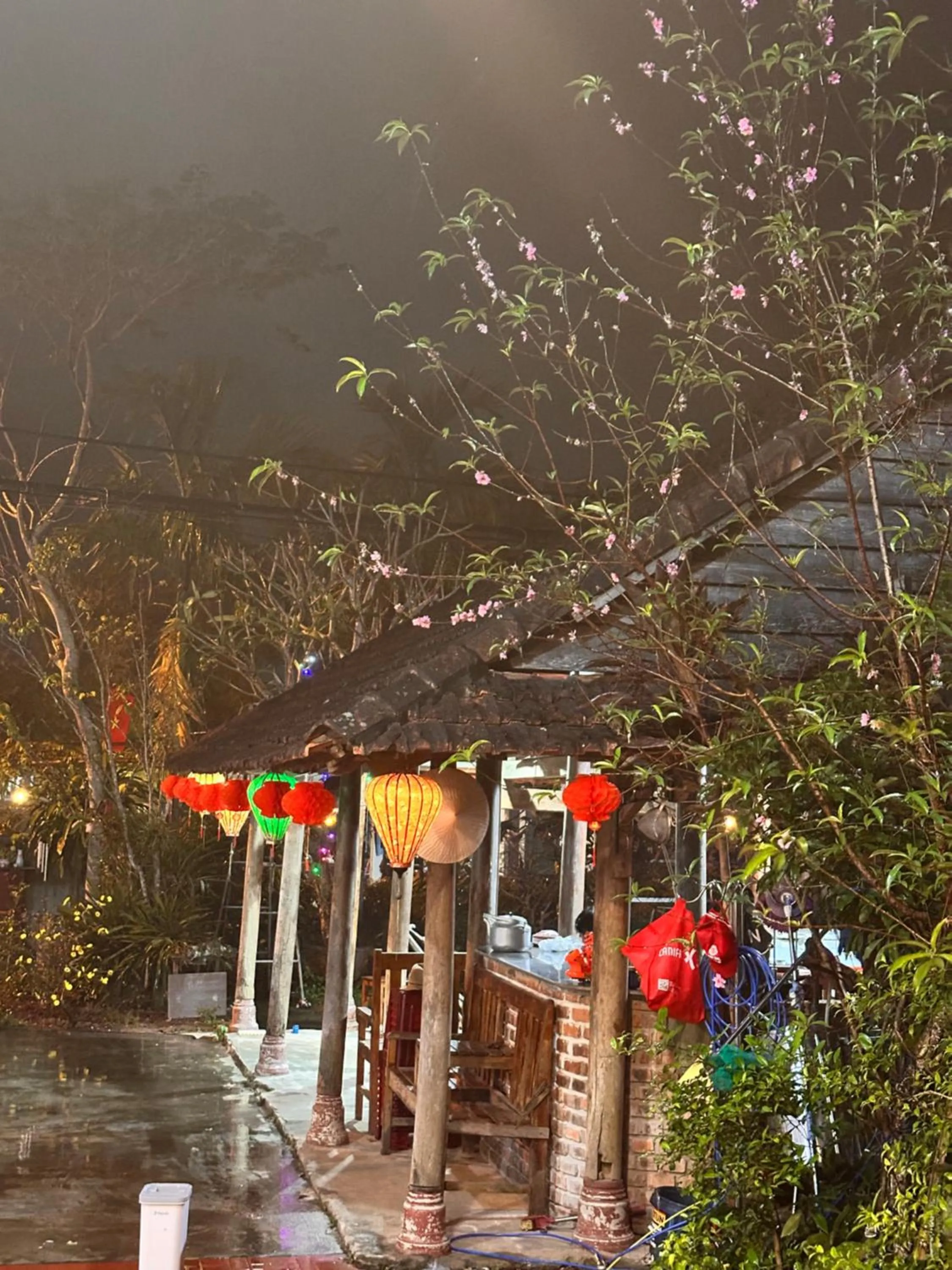 Garden in Loren Homestay