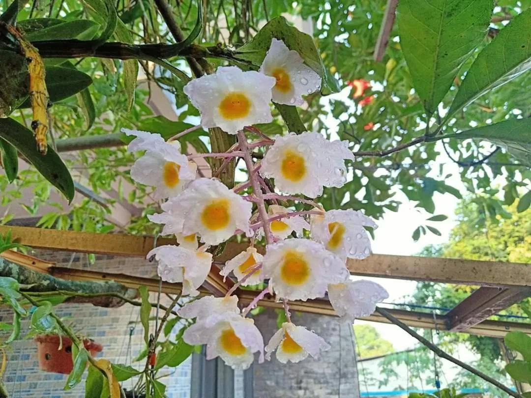 Day in Loren Homestay