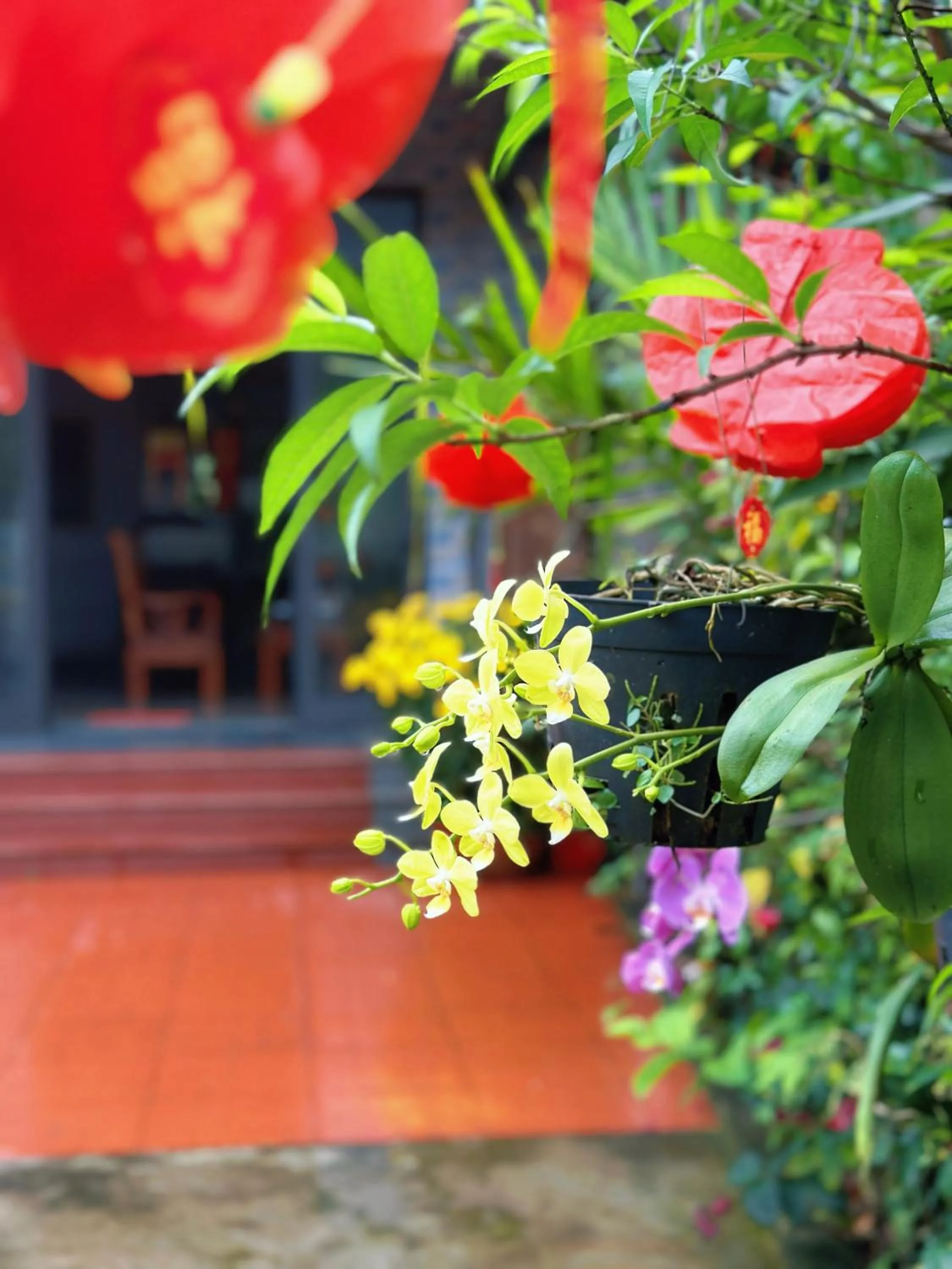 Loren Homestay