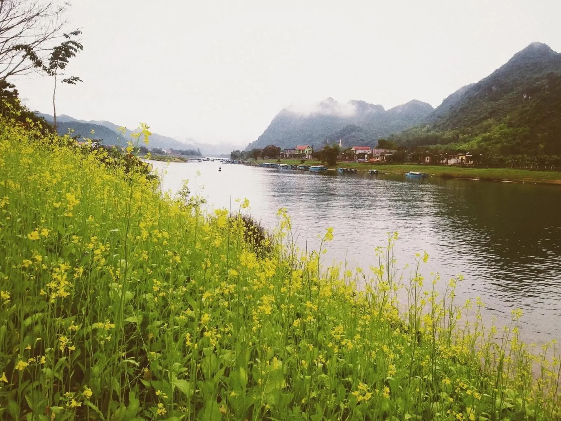 Nearby landmark in Loren Homestay