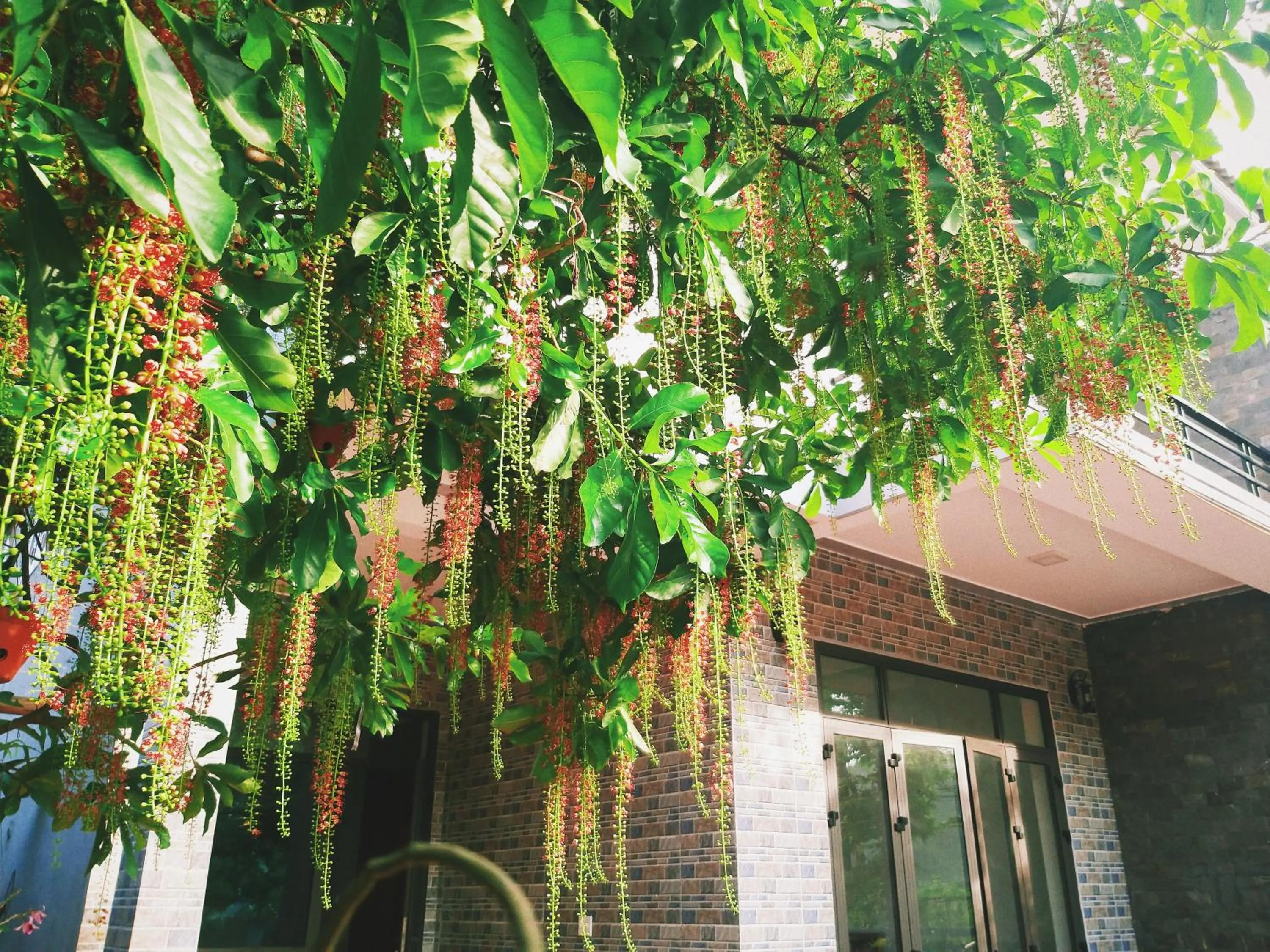 Property building in Loren Homestay