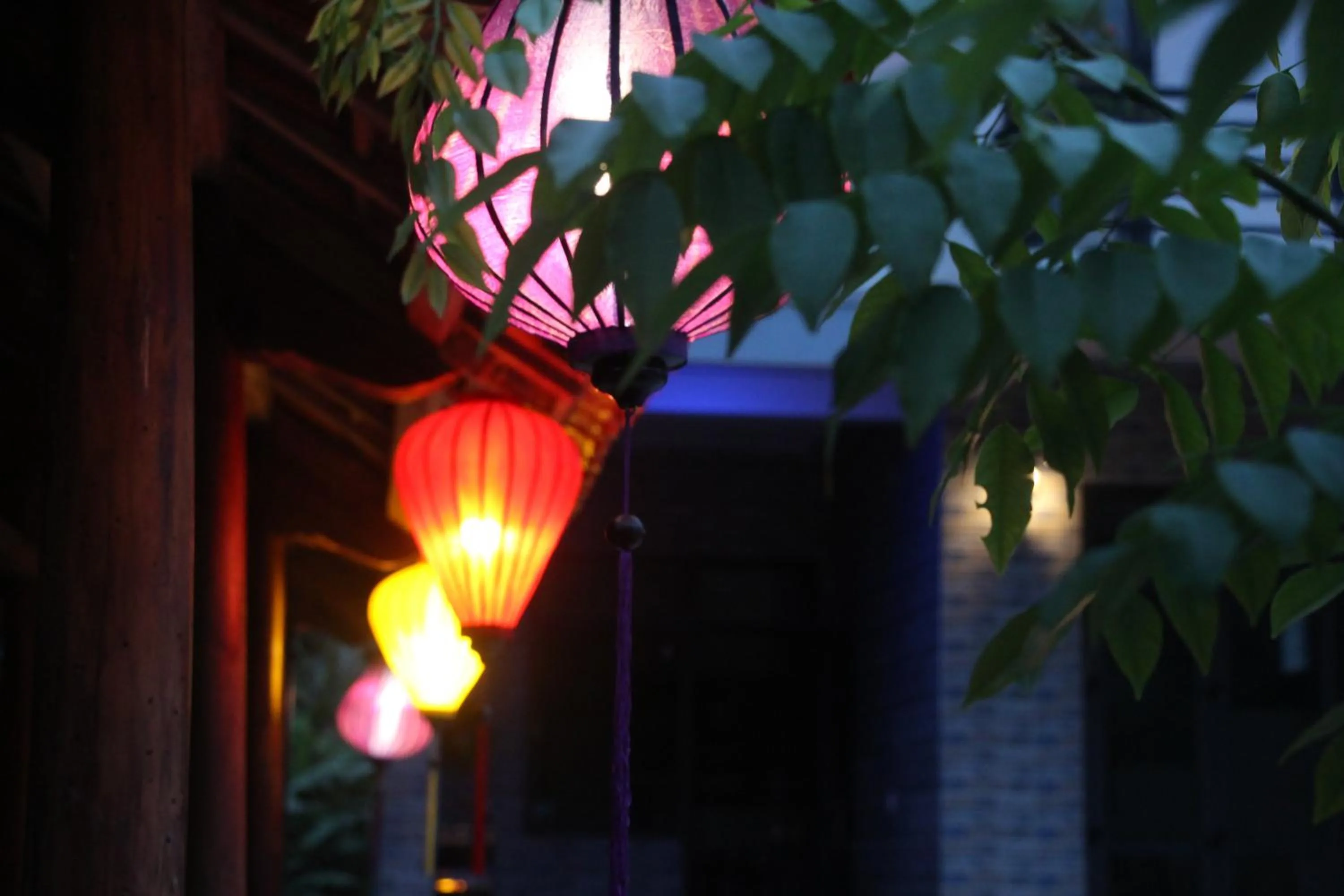 Garden in Loren Homestay