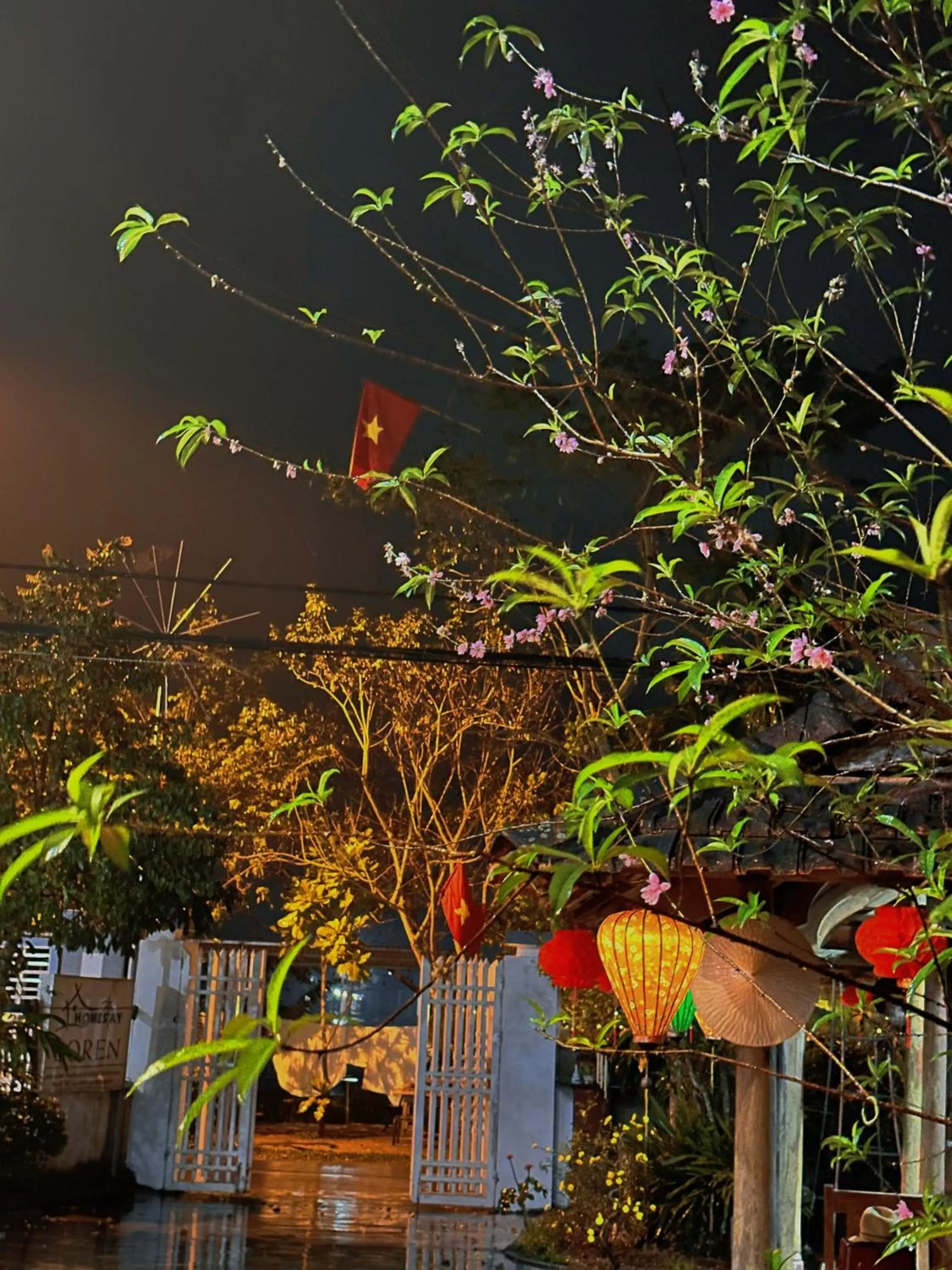 Spring in Loren Homestay