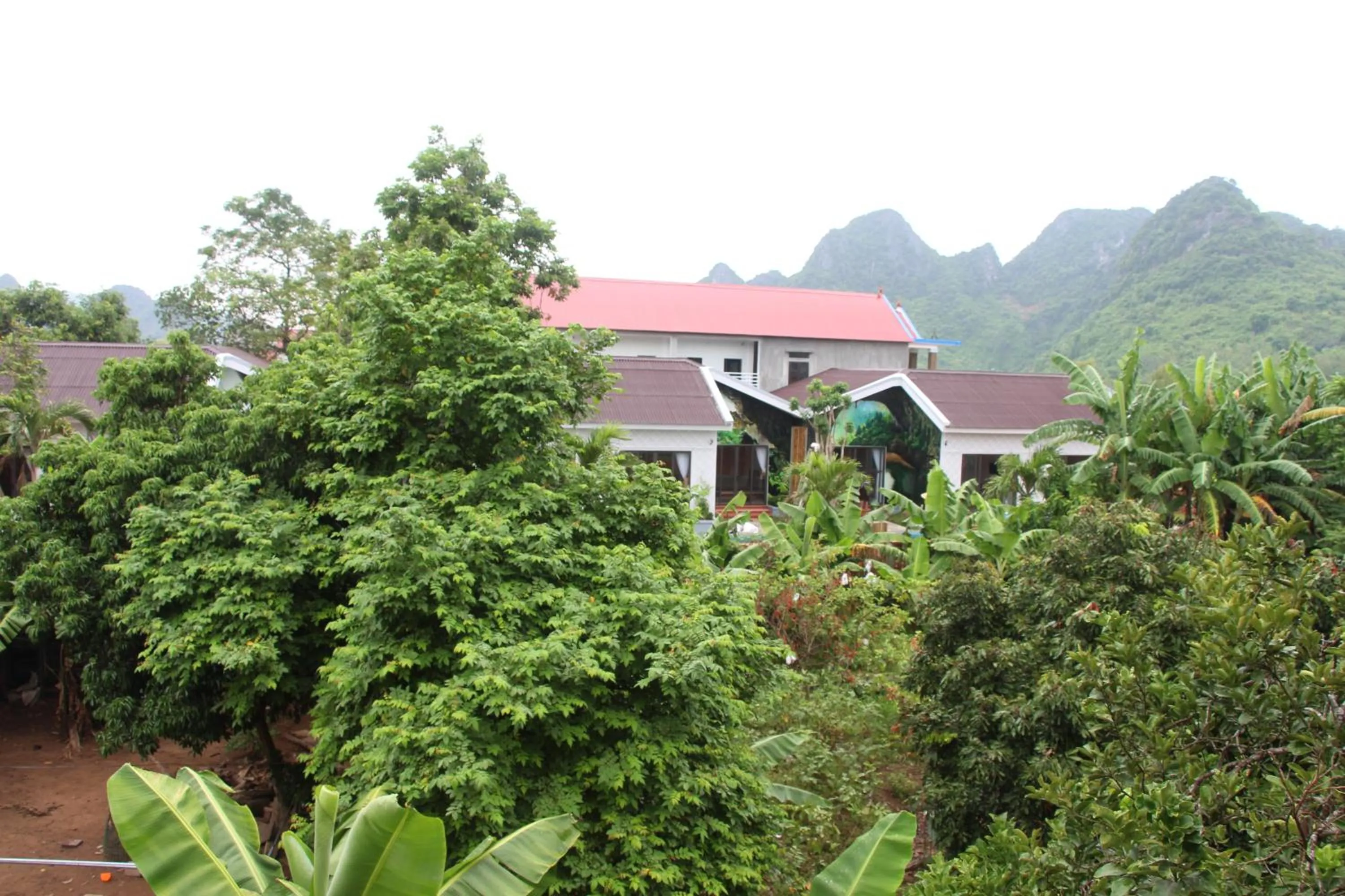 Garden in Loren Homestay