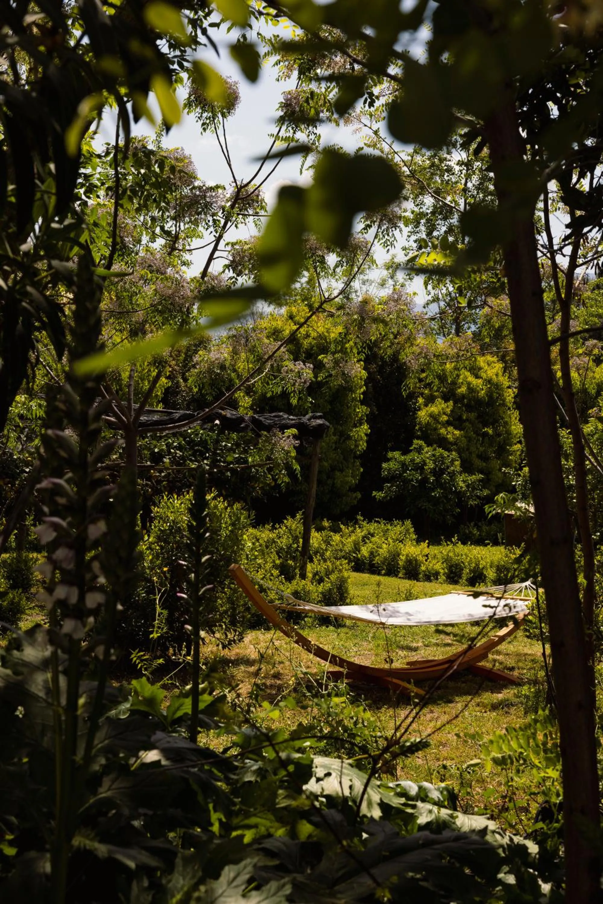Garden in Villa De Cillis Carafa